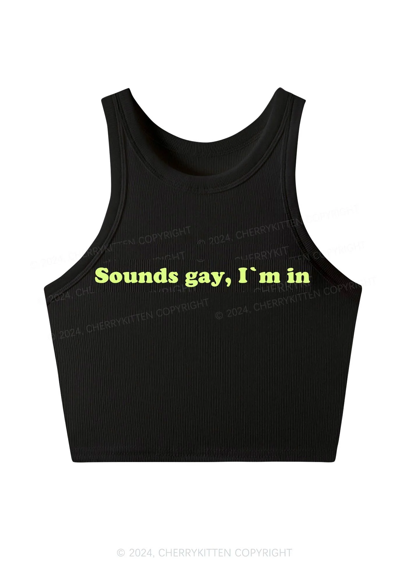 Sounds Gay Y2K Crop Tank Top Cherrykitten - Image 2