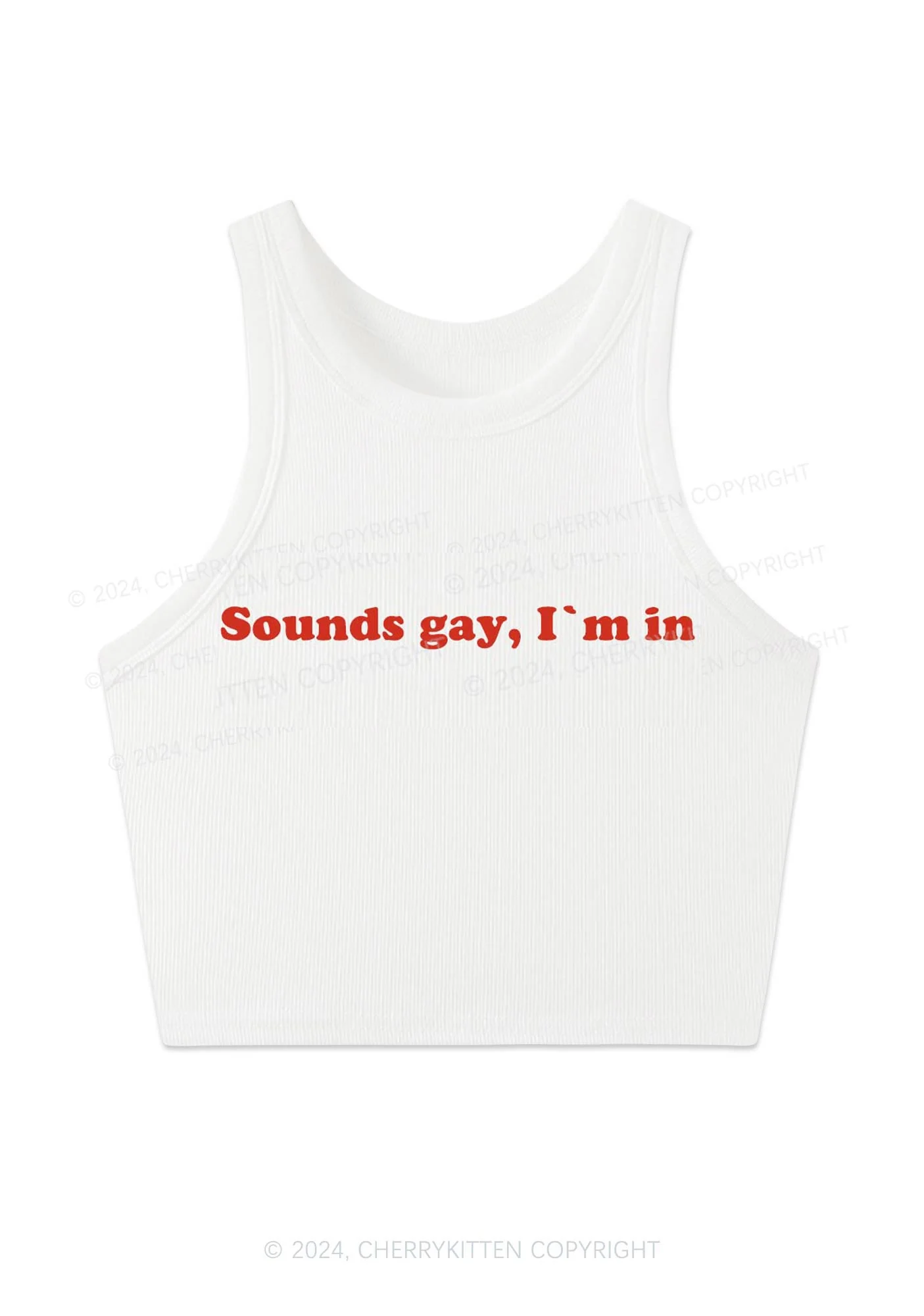 Sounds Gay Y2K Crop Tank Top Cherrykitten - Image 3