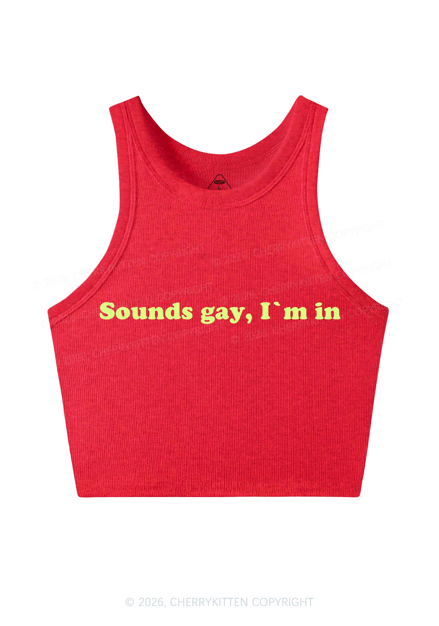 Sounds Gay Y2K Crop Tank Top Cherrykitten - Image 4