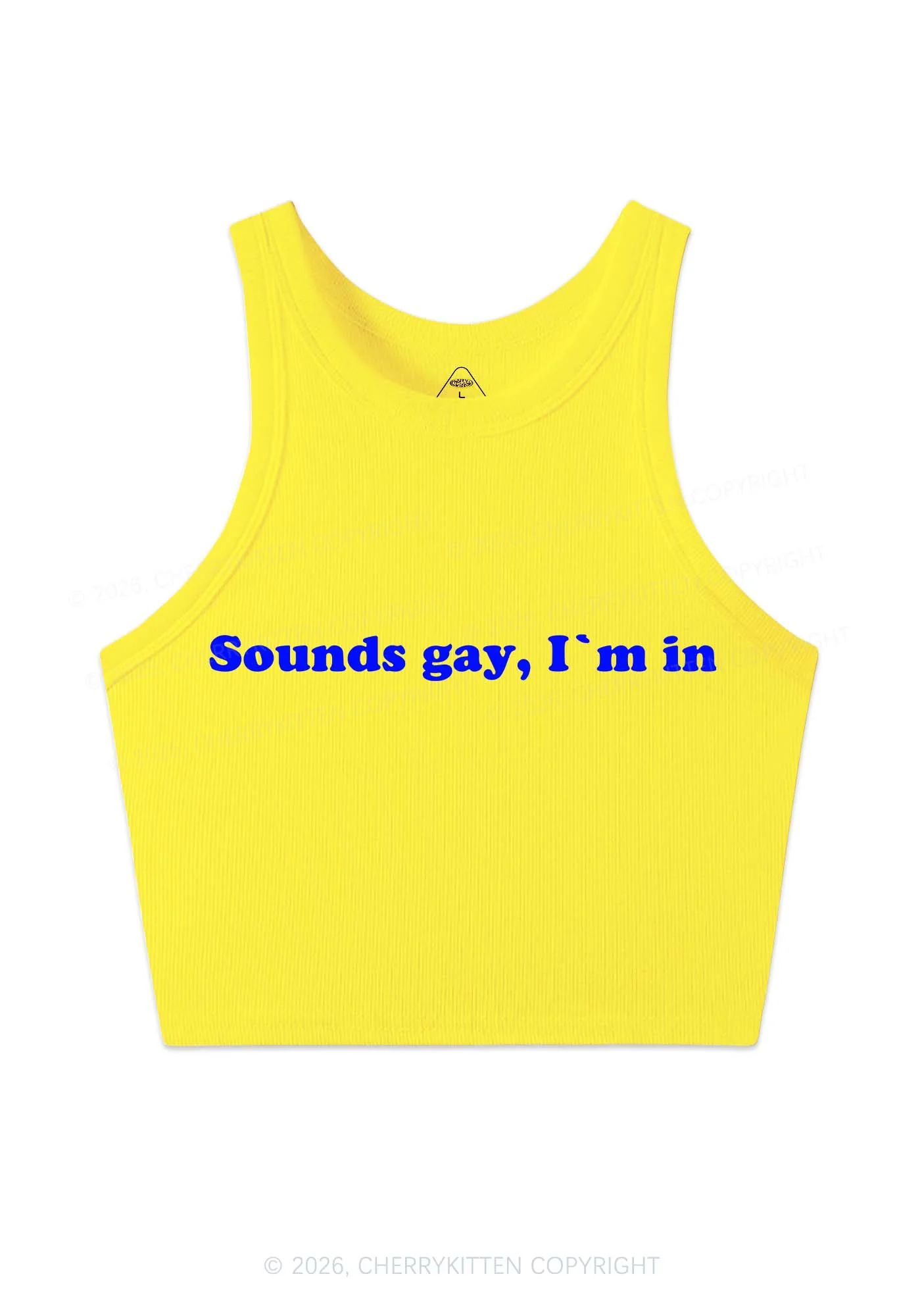 Sounds Gay Y2K Crop Tank Top Cherrykitten - Image 5