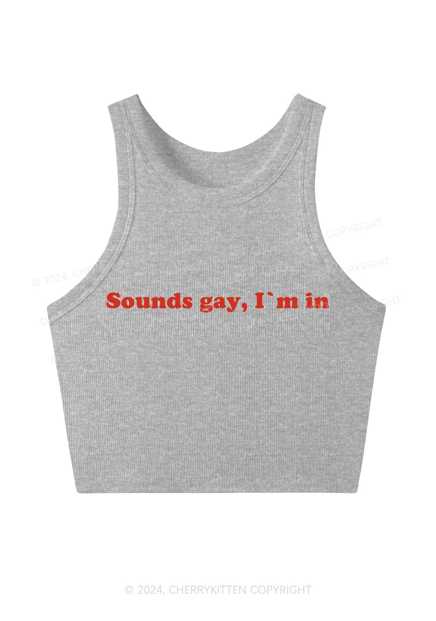 Sounds Gay Y2K Crop Tank Top Cherrykitten - Image 6