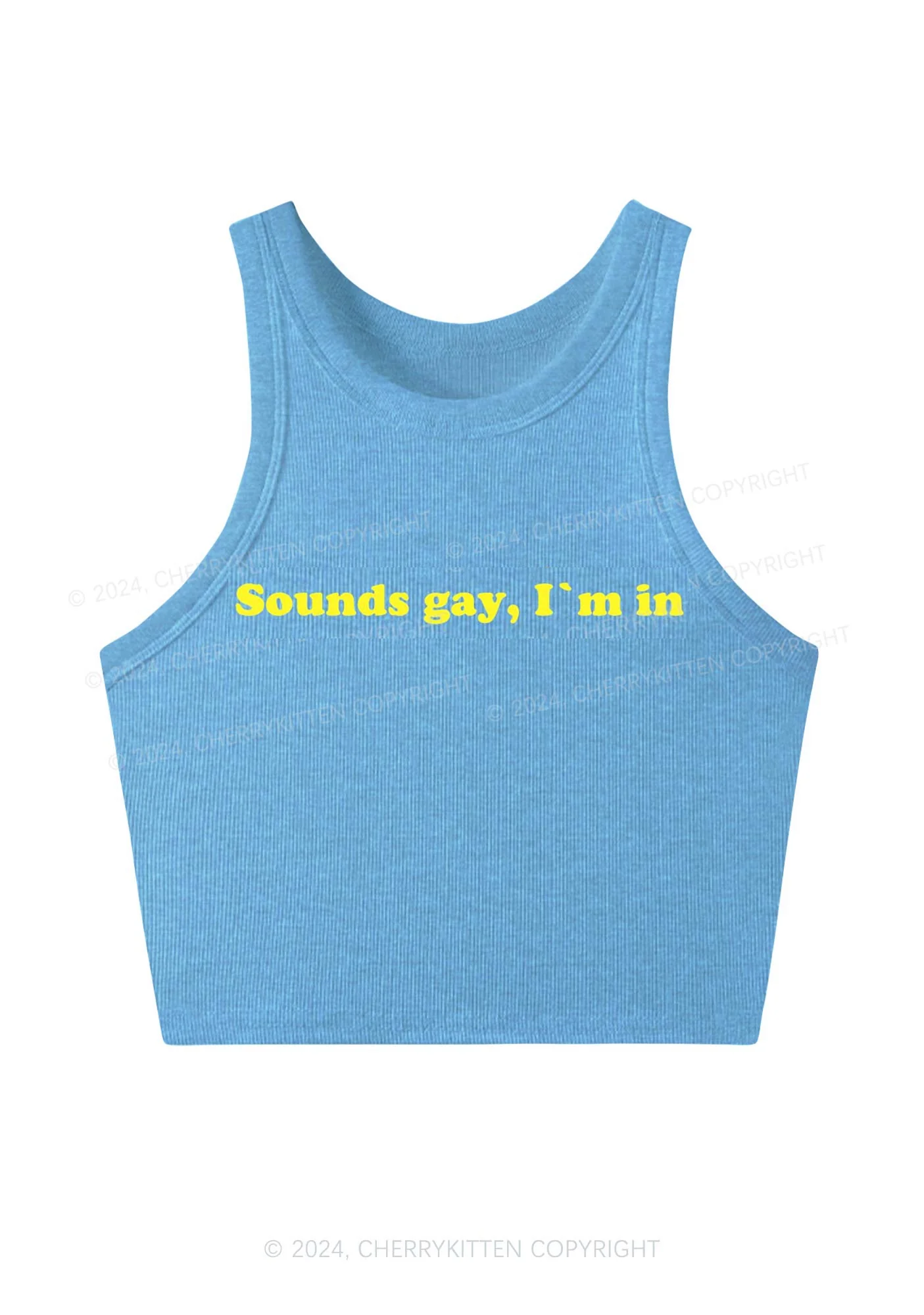 Sounds Gay Y2K Crop Tank Top Cherrykitten - Image 7