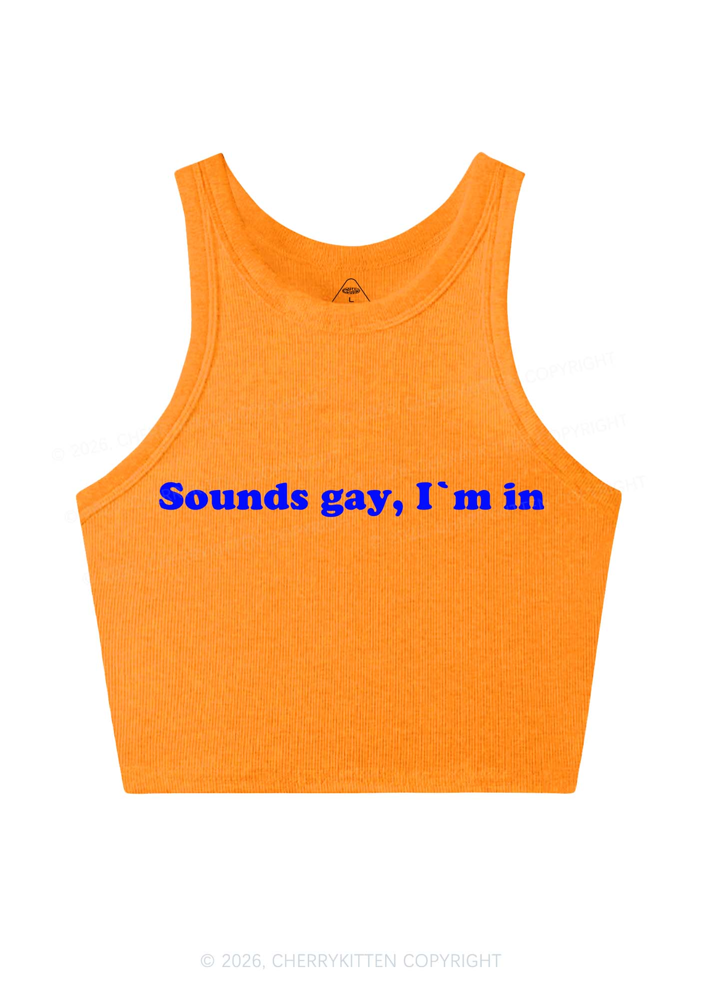 Sounds Gay Y2K Crop Tank Top Cherrykitten - Image 8