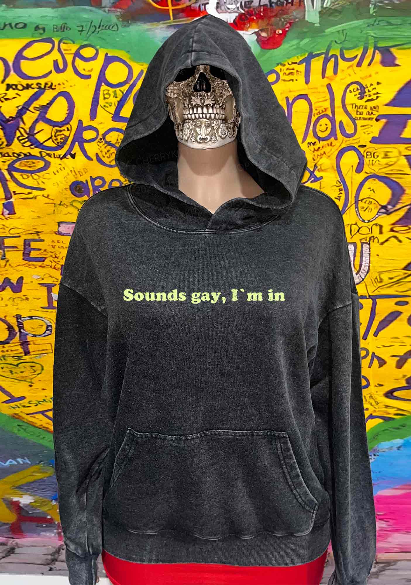 Sounds Gay Y2K Washed Hoodie Cherrykitten - Image 2