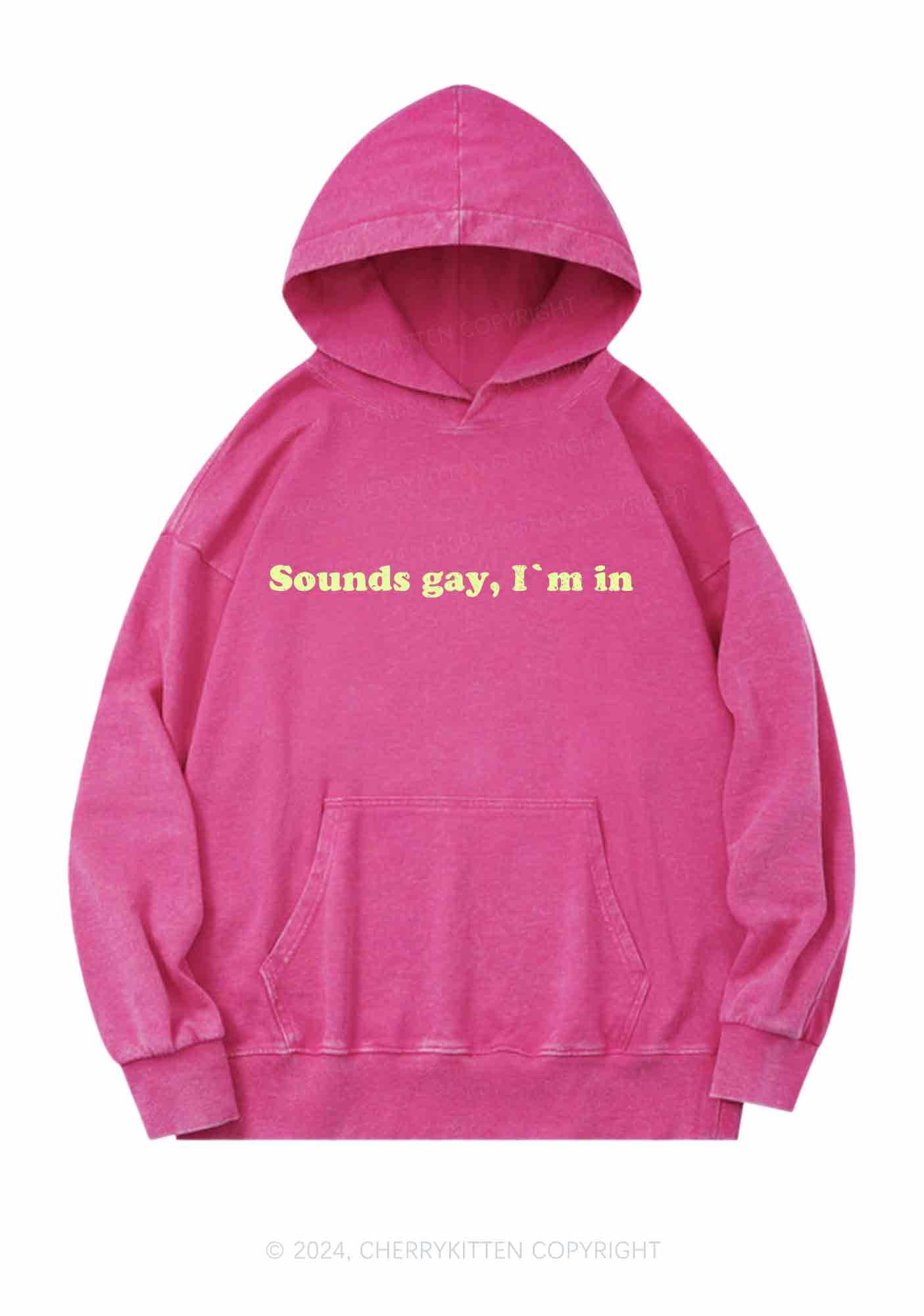 Sounds Gay Y2K Washed Hoodie Cherrykitten - Image 3