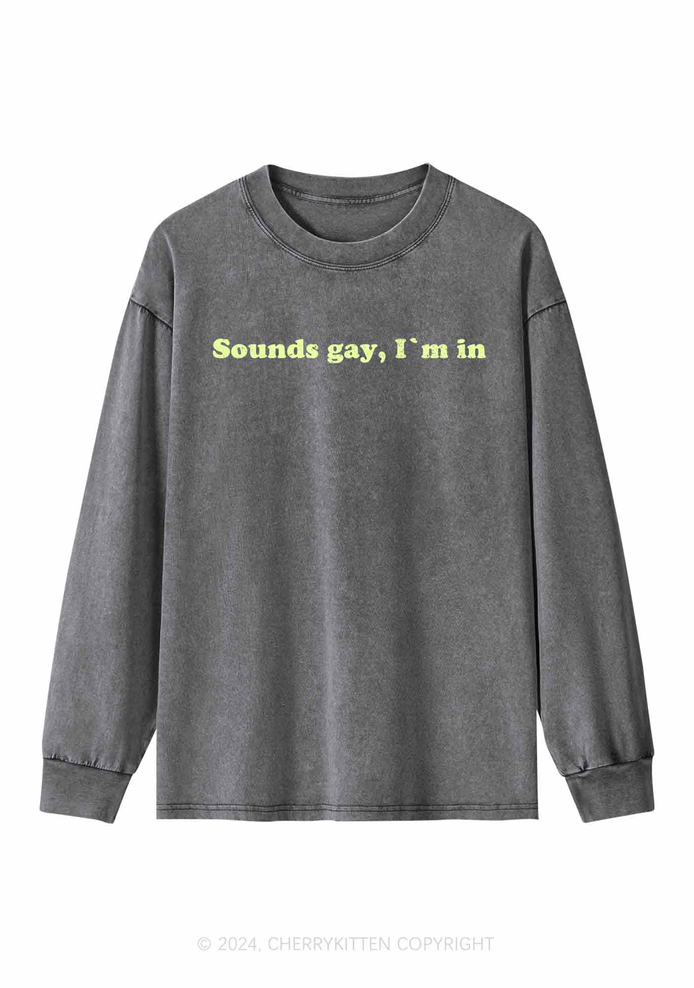 Sounds Gay Y2K Washed Long Sleeves Cherrykitten - Image 3