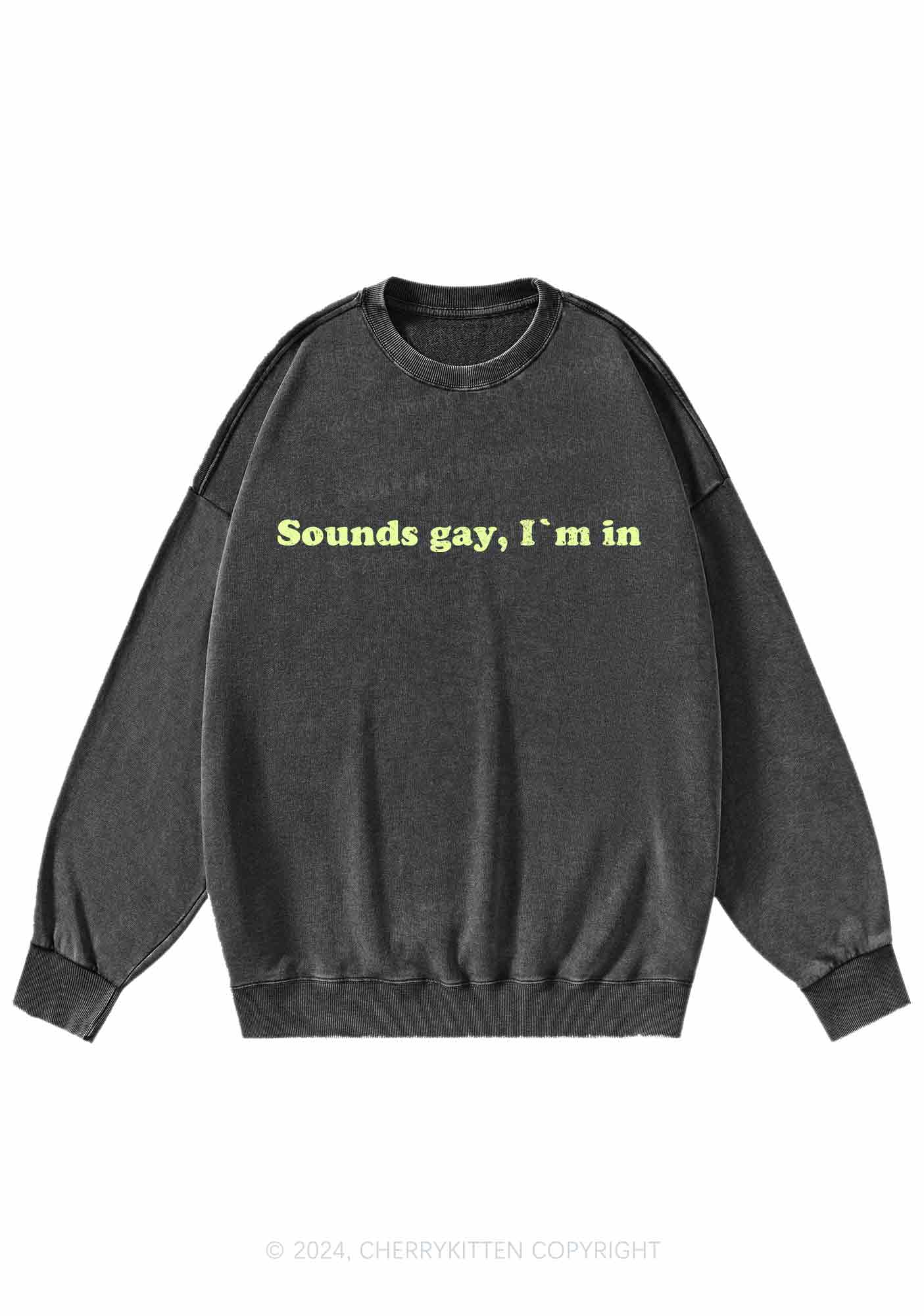 Sounds Gay Y2K Washed Sweatshirts Cherrykitten - Image 3