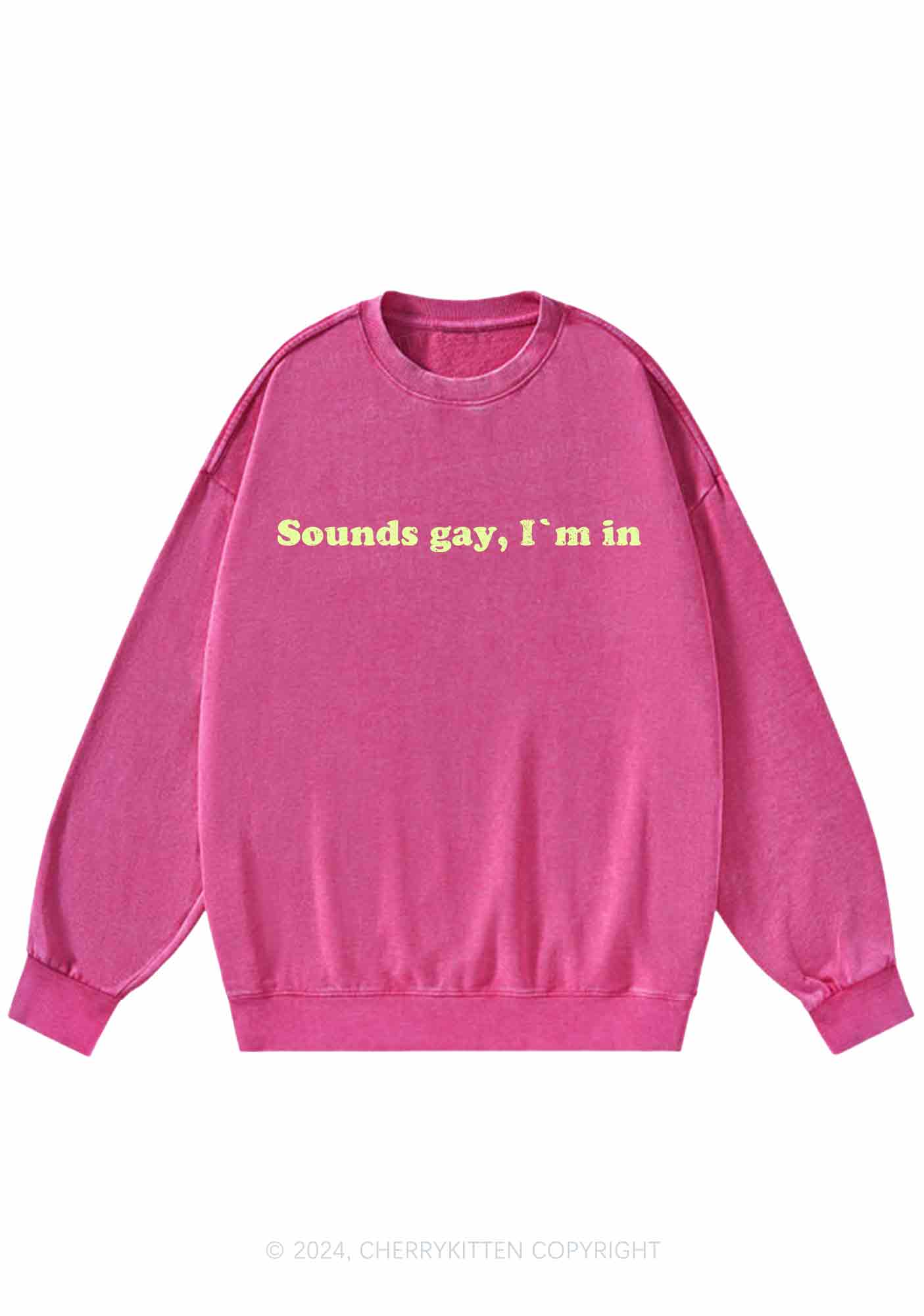 Sounds Gay Y2K Washed Sweatshirts Cherrykitten - Image 4