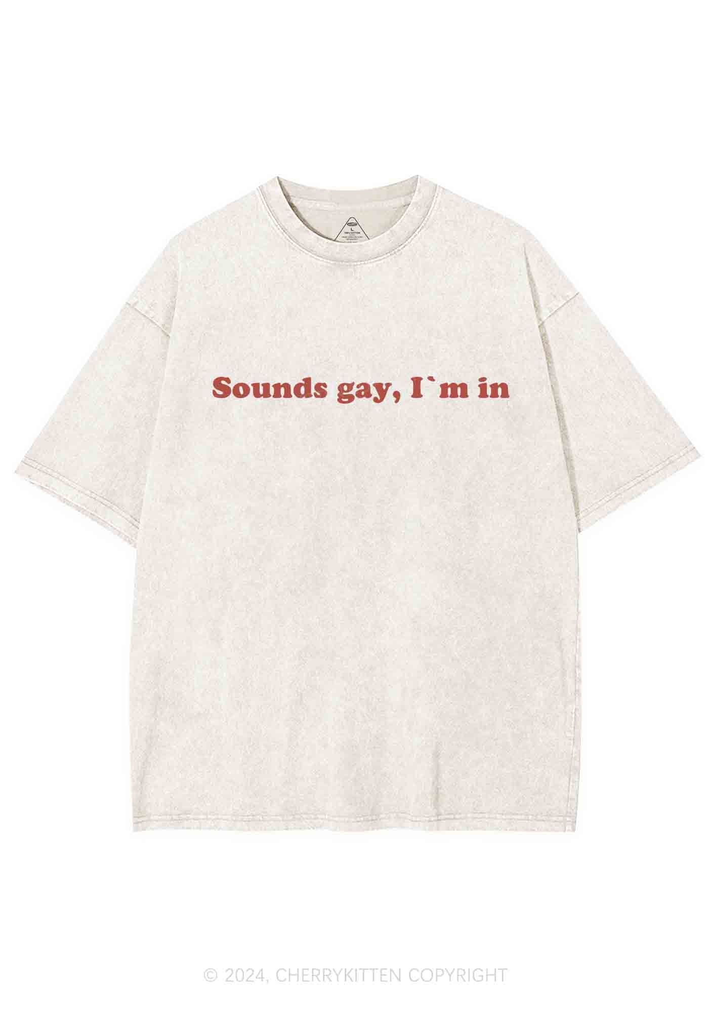 Sounds Gay Y2K Washed Tee Cherrykitten - Image 3