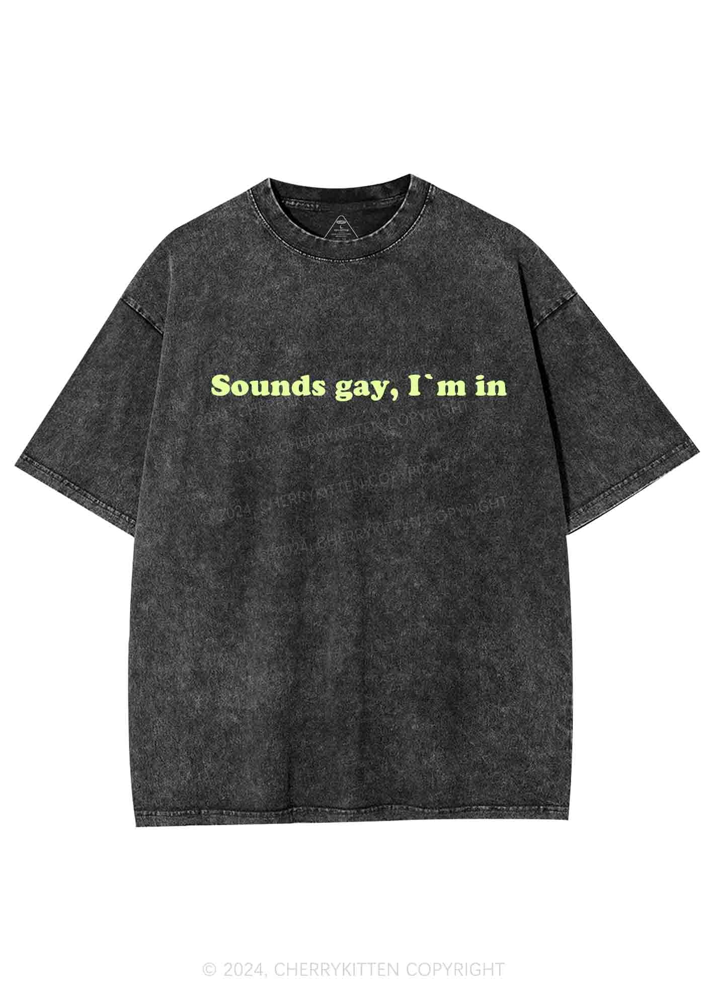 Sounds Gay Y2K Washed Tee Cherrykitten - Image 4