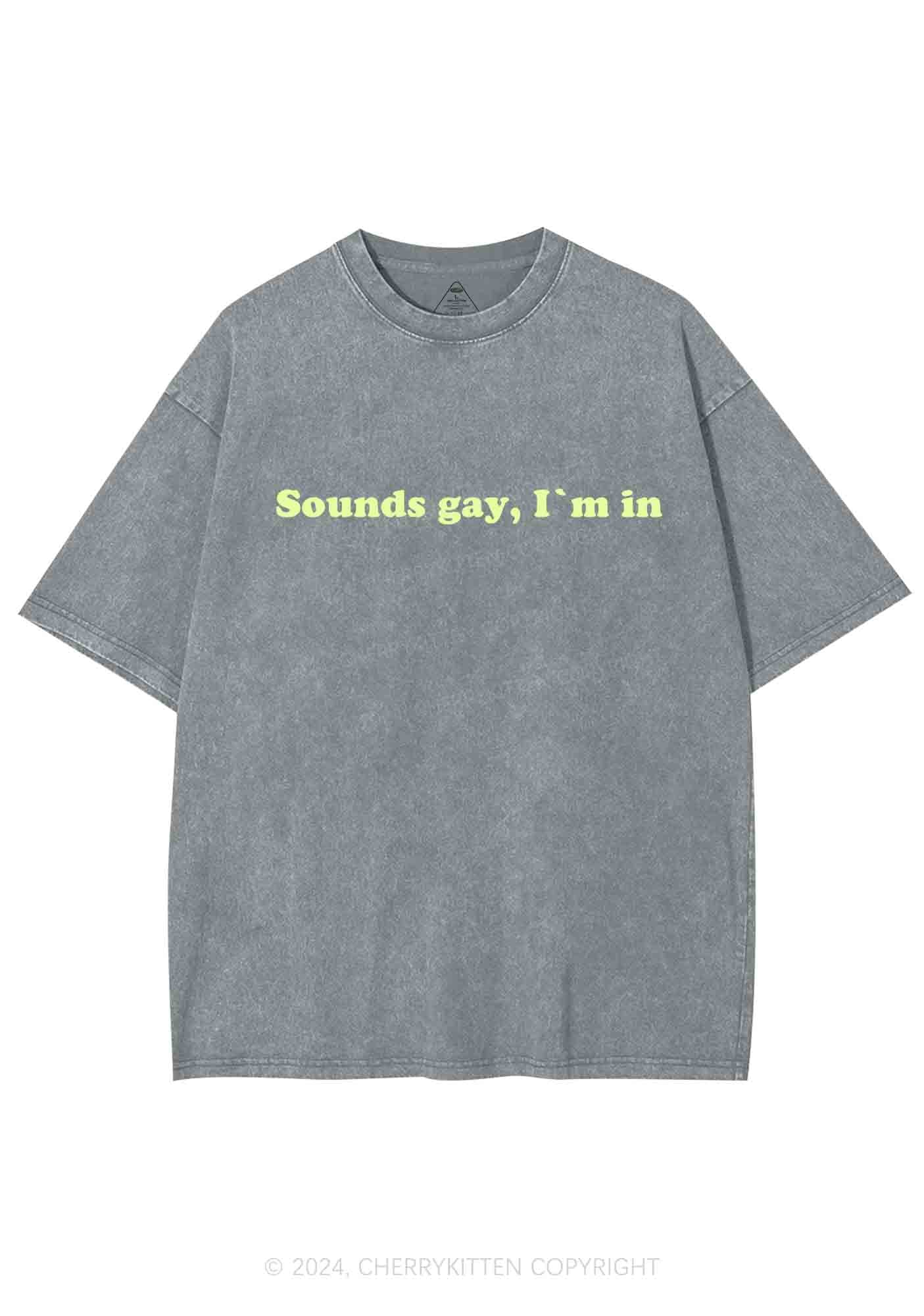 Sounds Gay Y2K Washed Tee Cherrykitten - Image 6