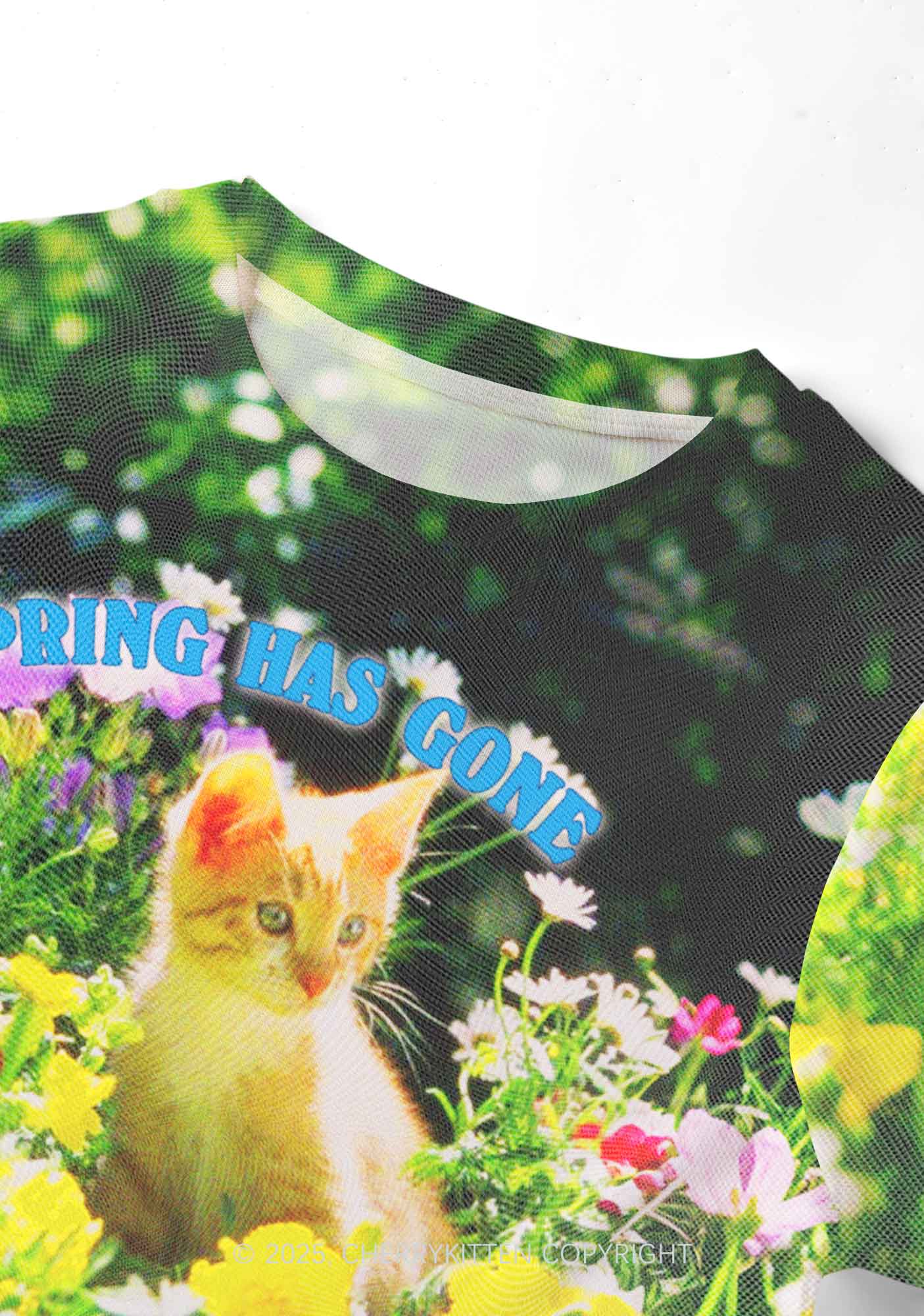 Spring Has Gone Y2K Mesh Crop Top Cherrykitten - Image 2