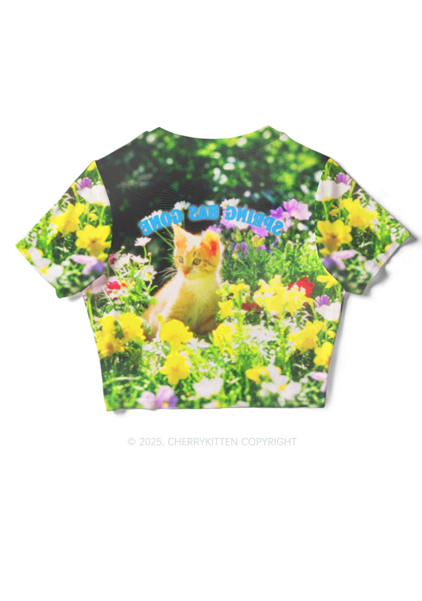 Spring Has Gone Y2K Mesh Crop Top Cherrykitten - Image 4