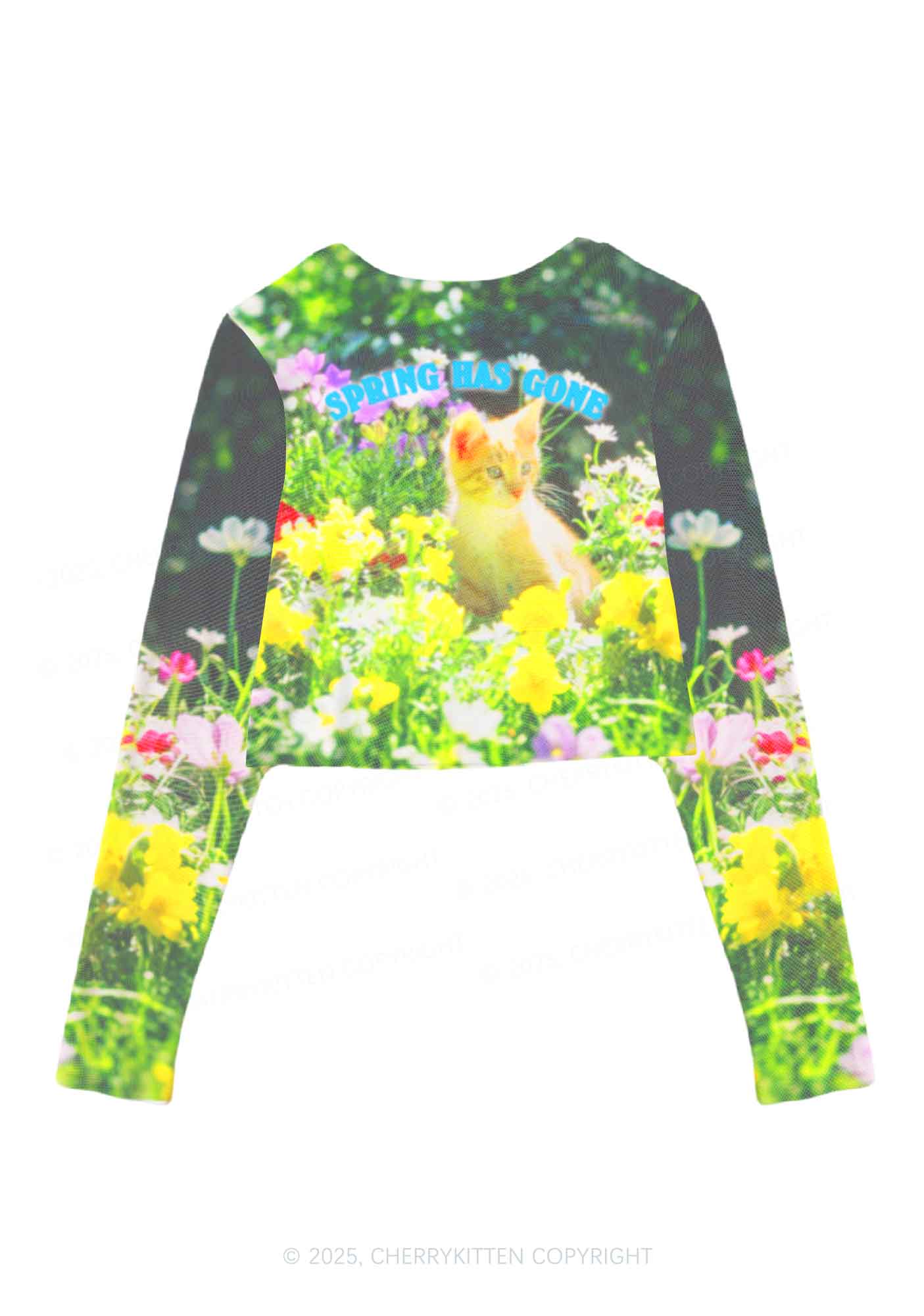 Spring Has Gone Y2K Mesh Long Sleeve Crop Top Cherrykitten - Image 2