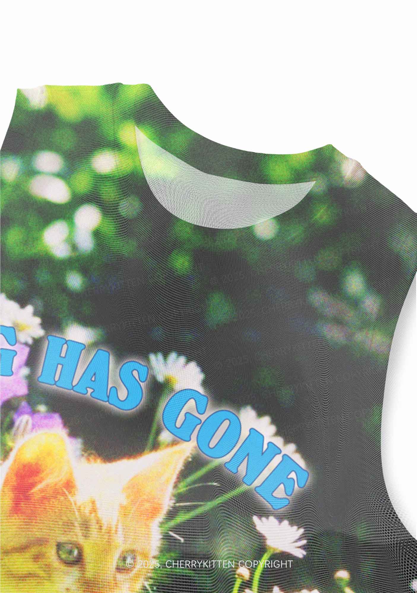 Spring Has Gone Y2K Mesh Muscle Tank Cherrykitten - Image 2