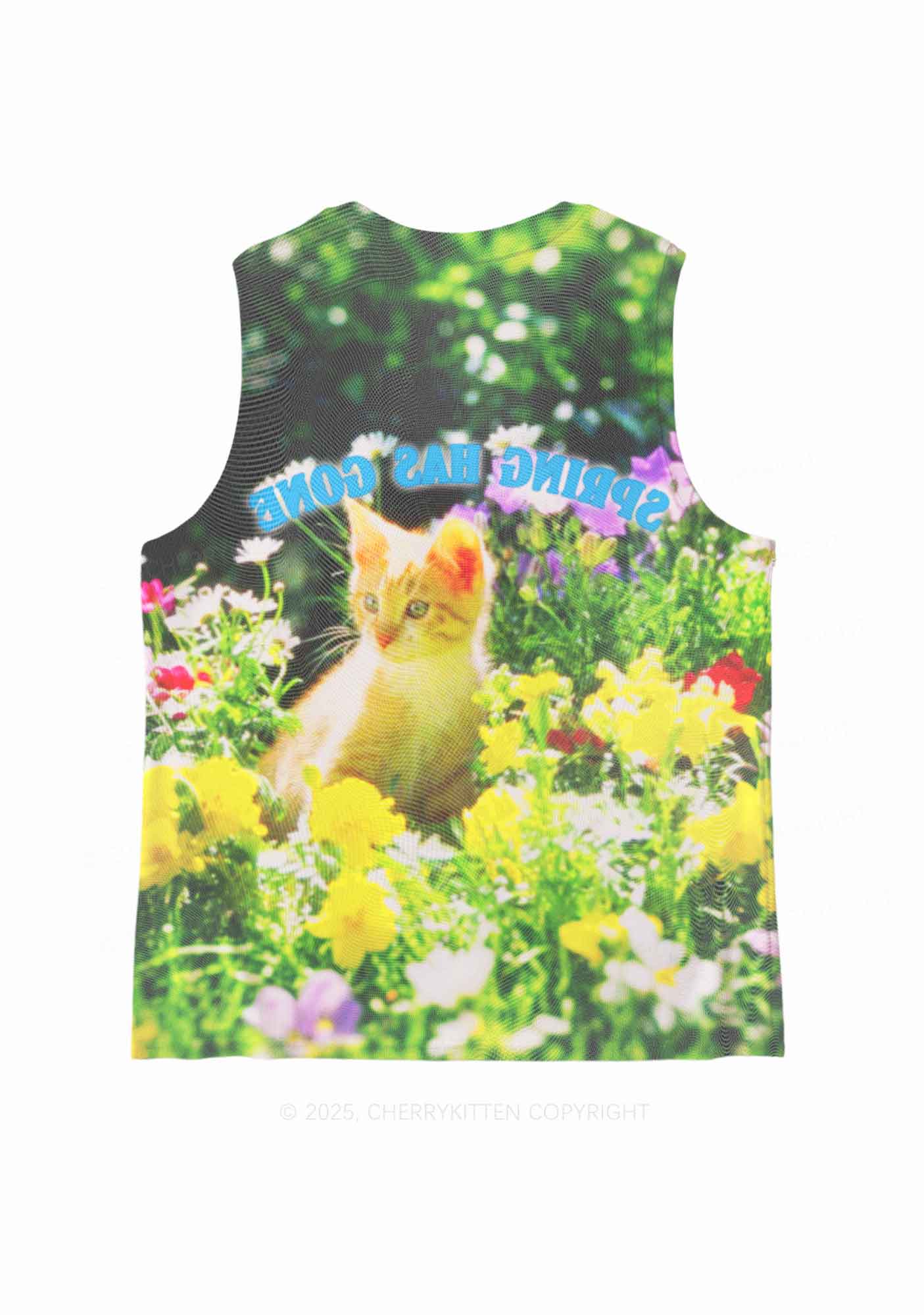 Spring Has Gone Y2K Mesh Muscle Tank Cherrykitten - Image 3