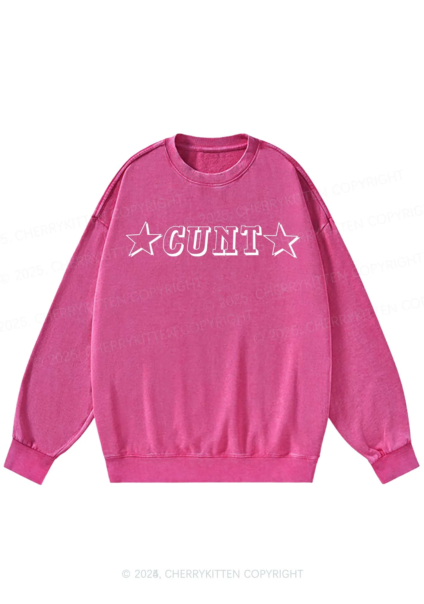 Star Count Y2K Washed Sweatshirts Cherrykitten - Image 4