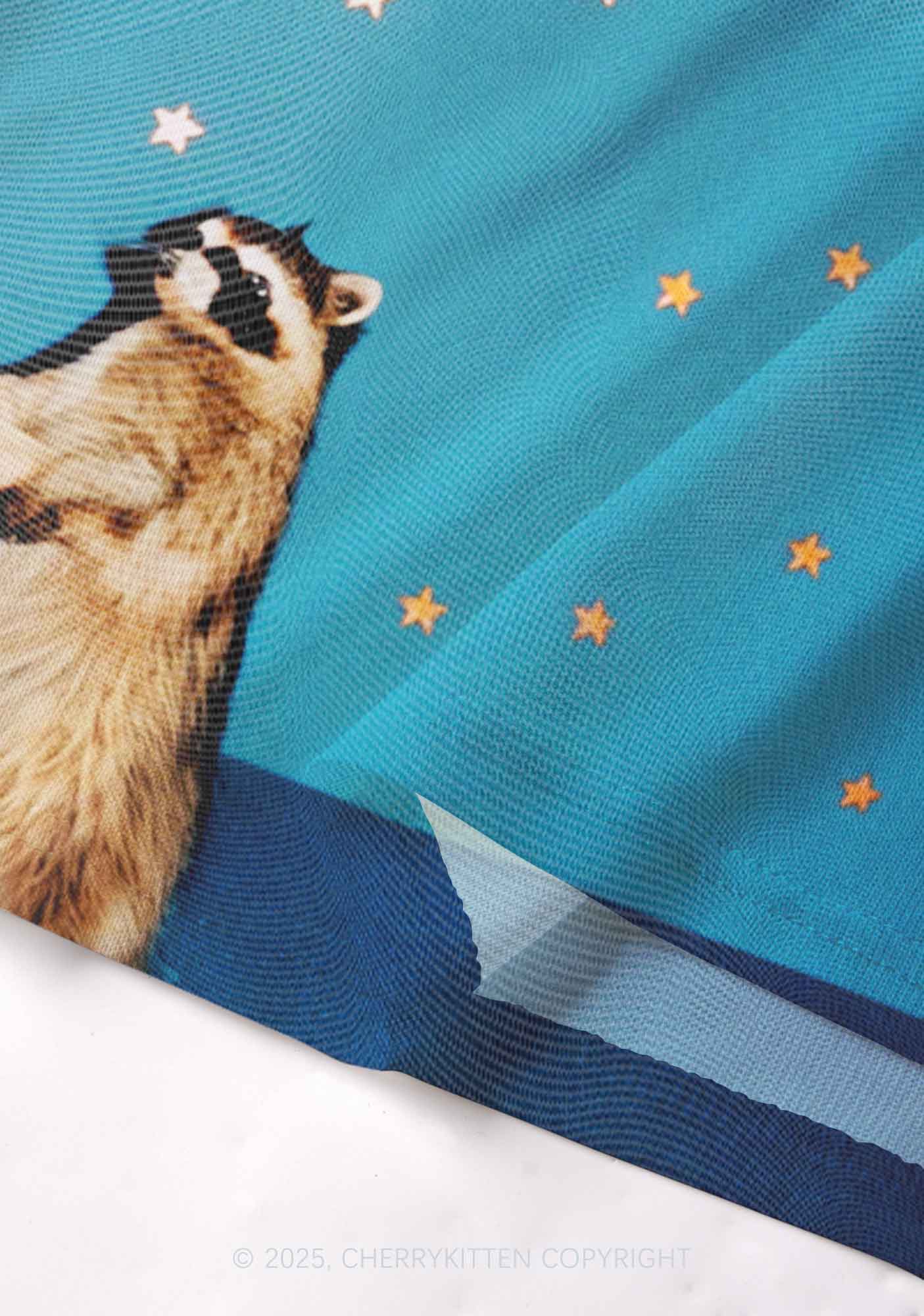 Starry Raccoon Y2K Mesh Cami Tank Cherrykitten - Image 4