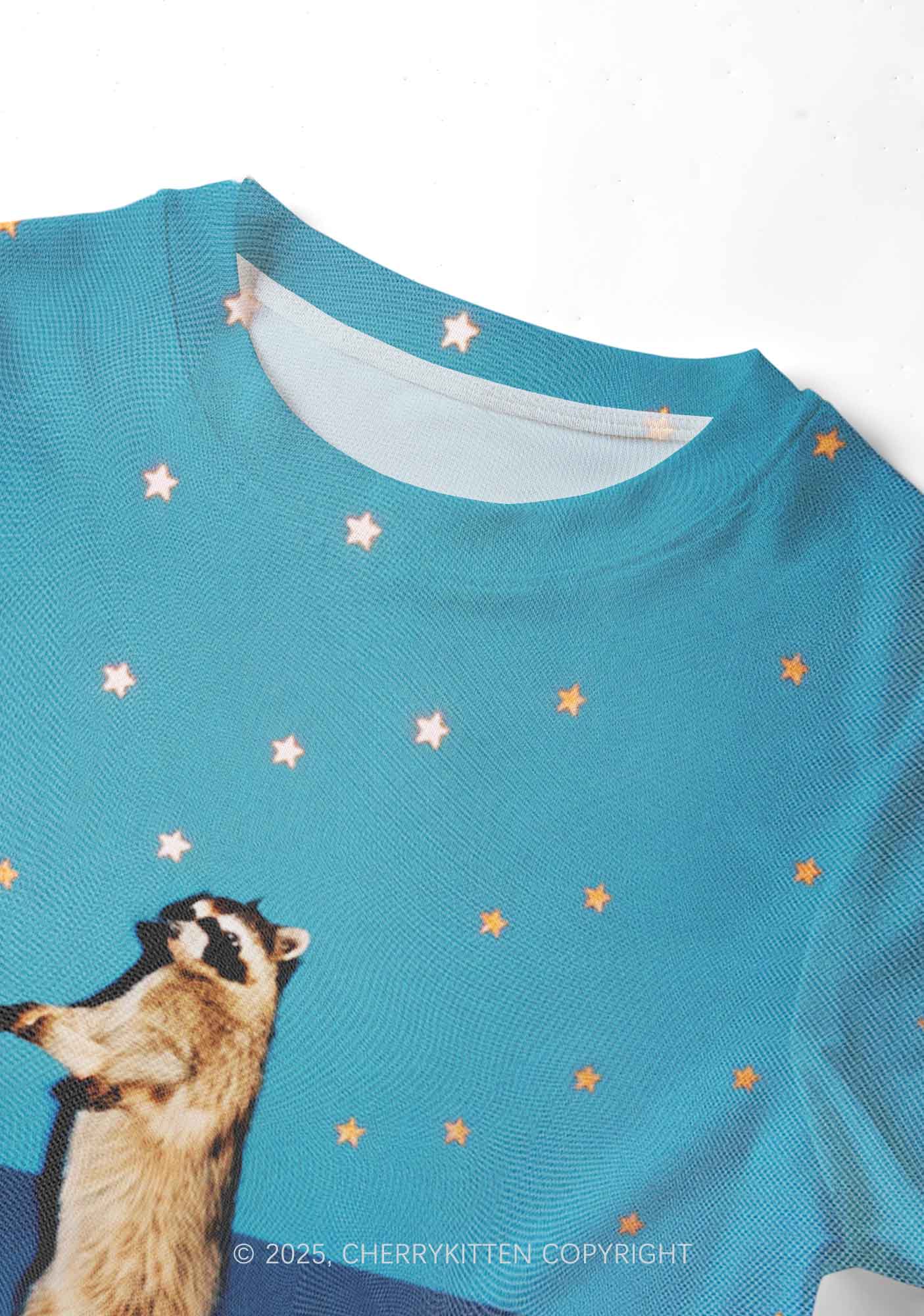 Starry Raccoon Y2K Mesh Crop Top Cherrykitten - Image 3