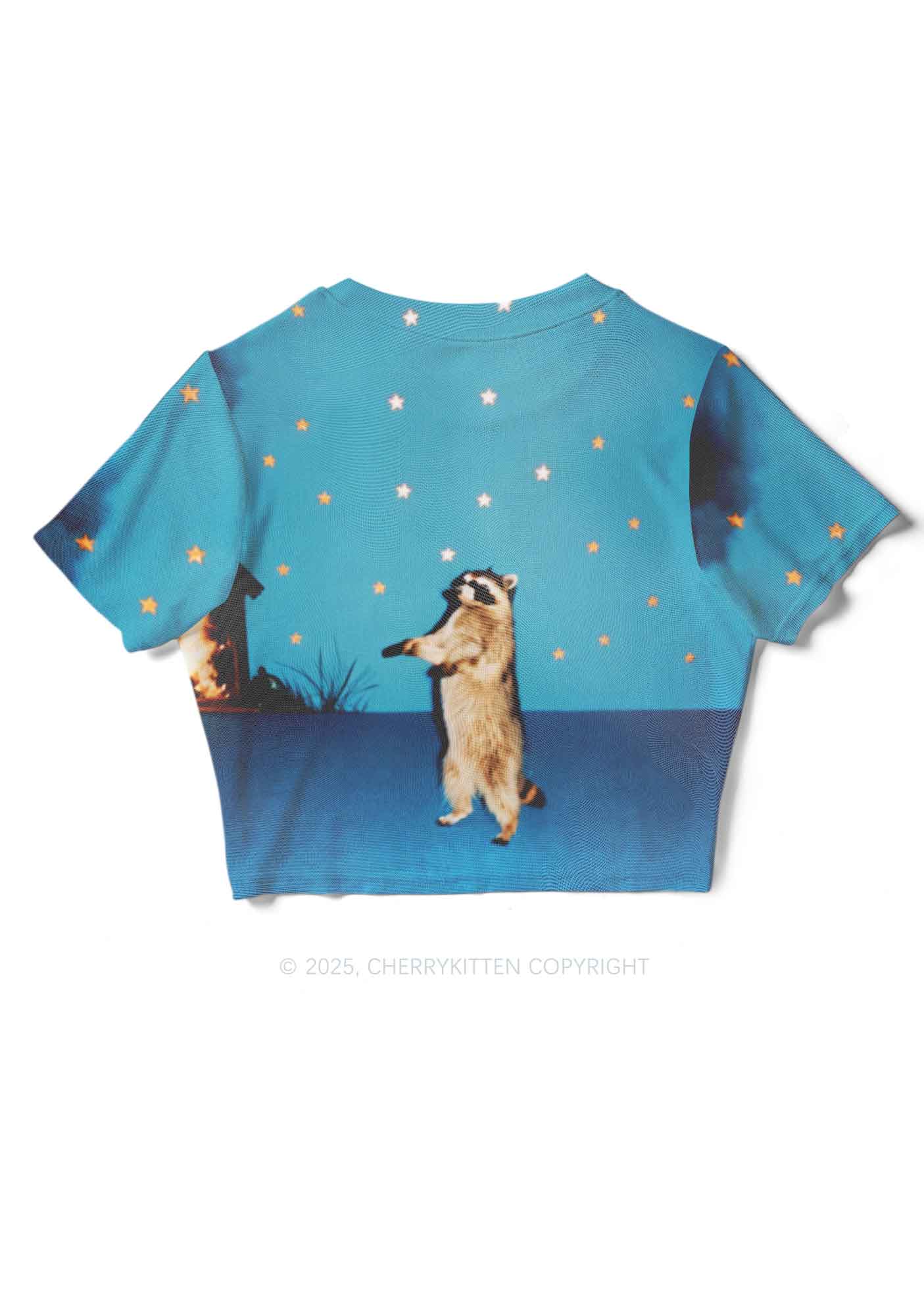 Starry Raccoon Y2K Mesh Crop Top Cherrykitten - Image 5