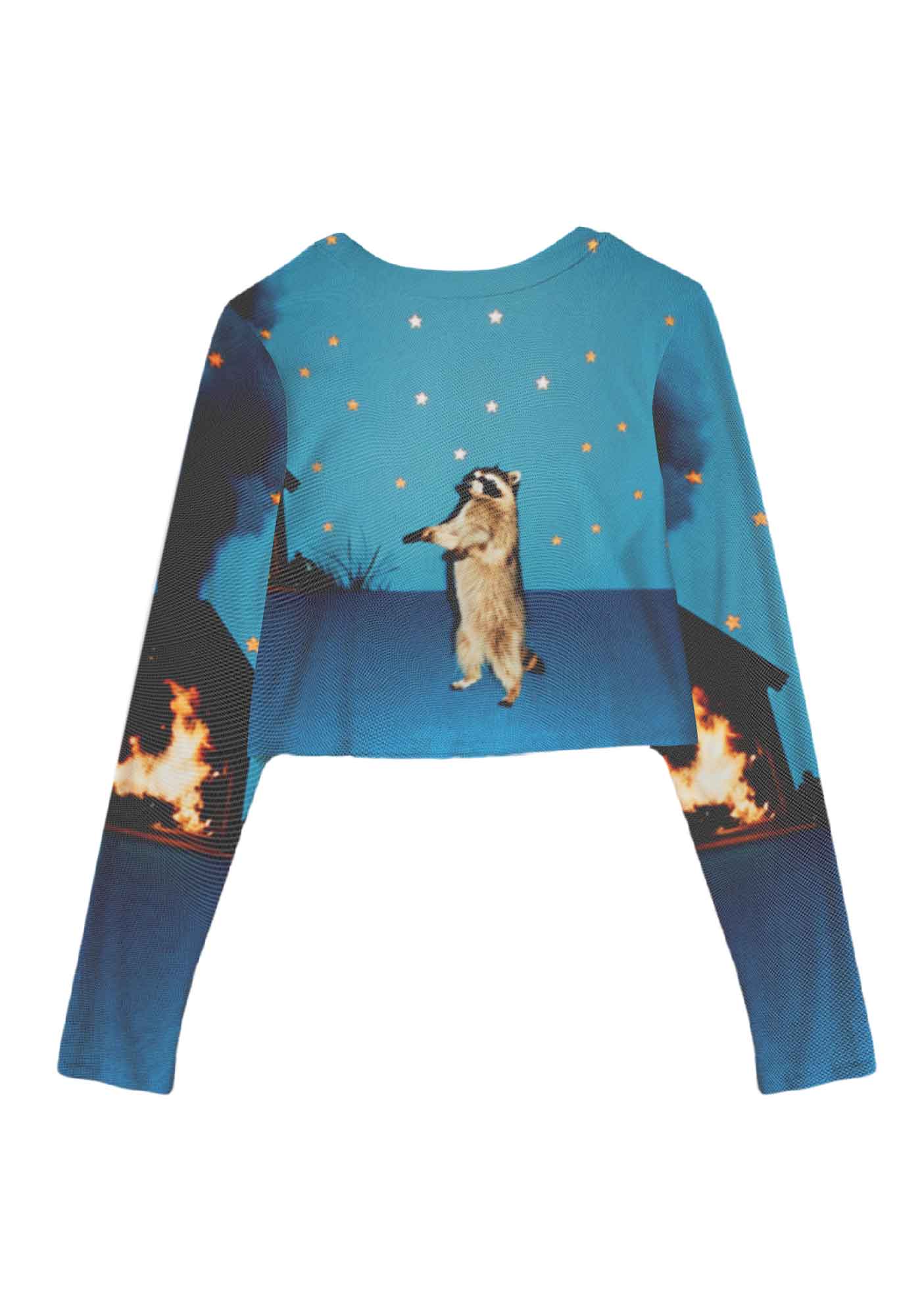 Starry Raccoon Y2K Mesh Long Sleeve Crop Top Cherrykitten - Image 3