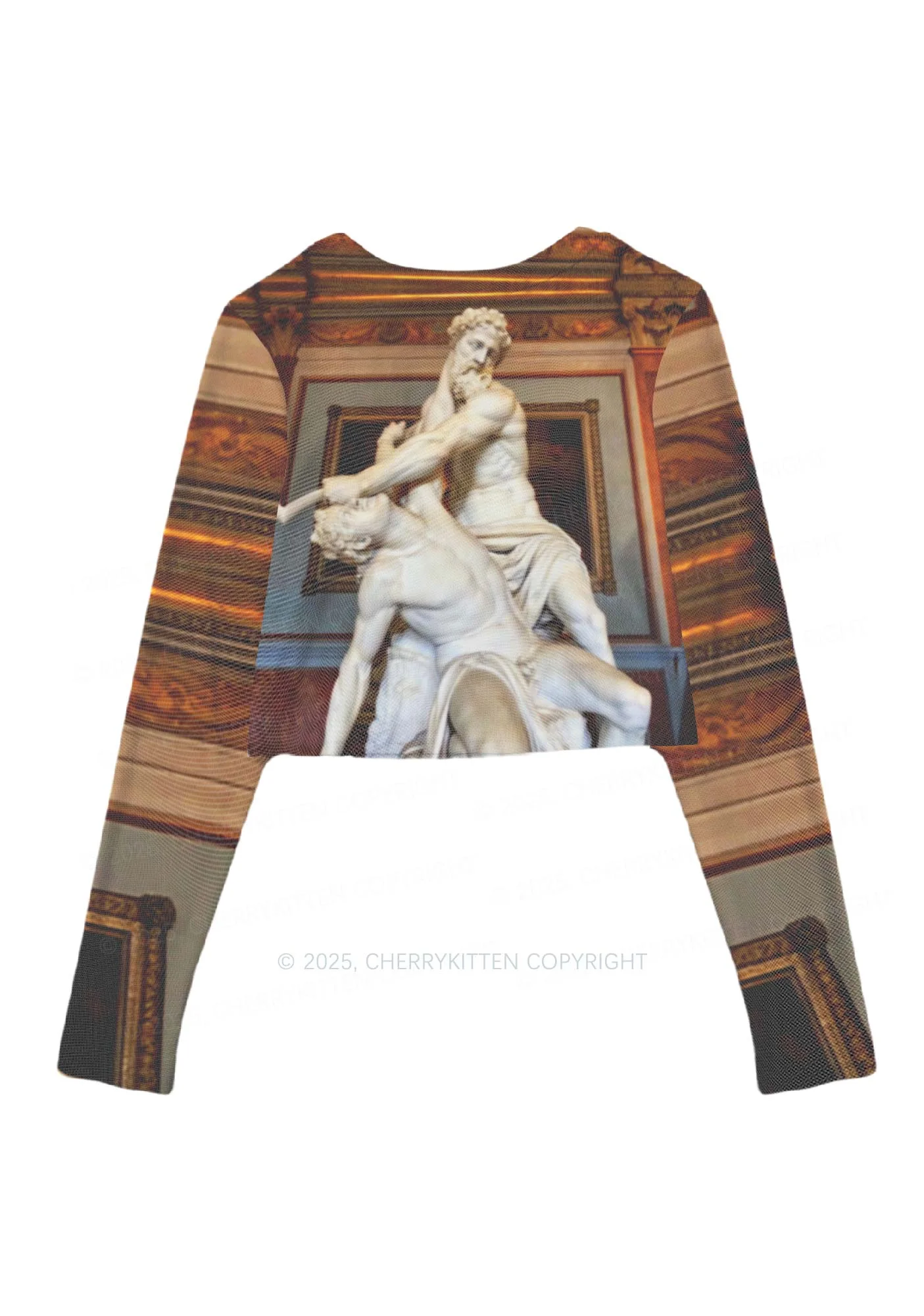 Statue Showdown Y2K Mesh Long Sleeve Crop Top Cherrykitten - Image 3