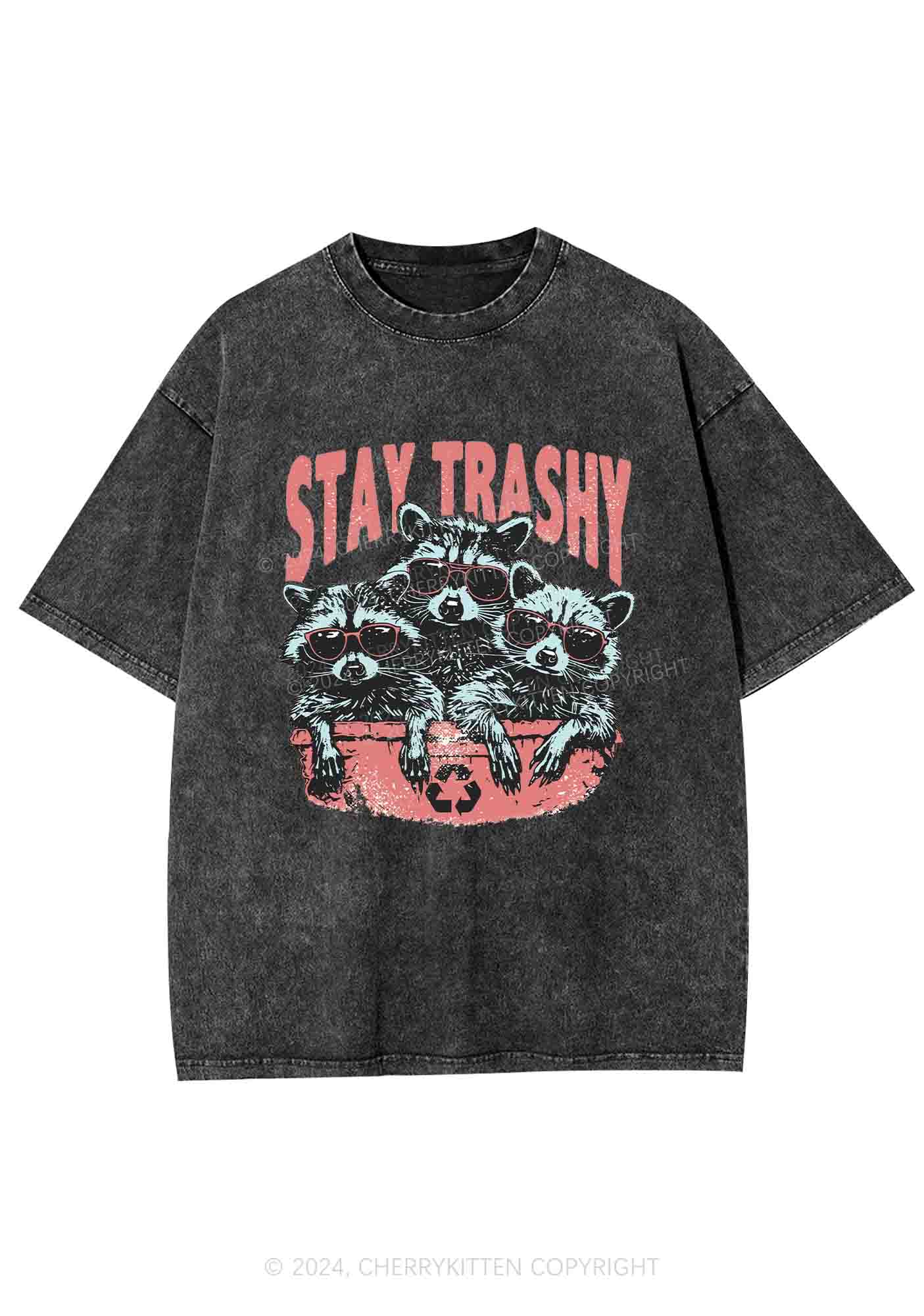 Stay Trashy Raccoons Y2K Washed Tee Cherrykitten - Image 3
