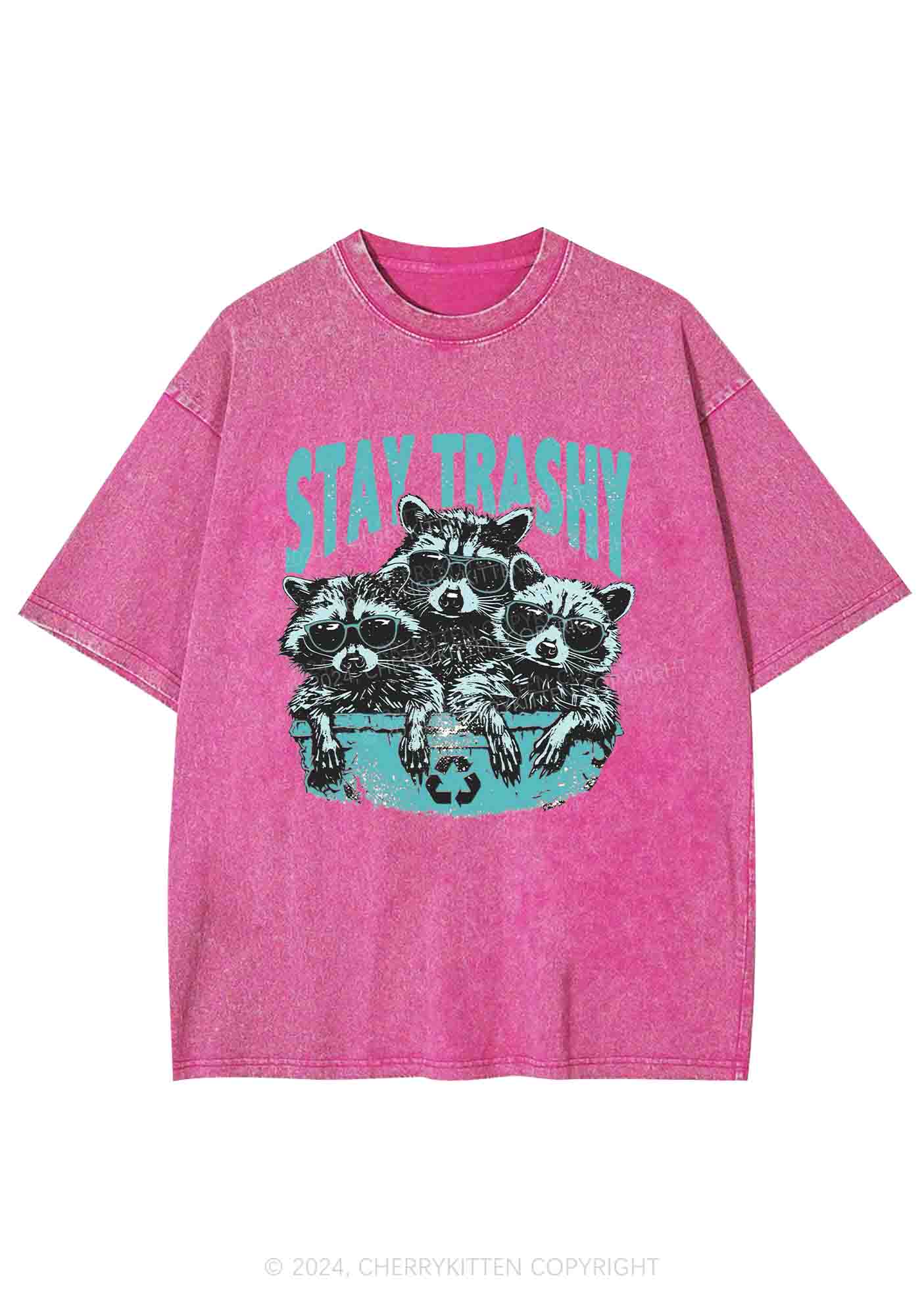 Stay Trashy Raccoons Y2K Washed Tee Cherrykitten - Image 4