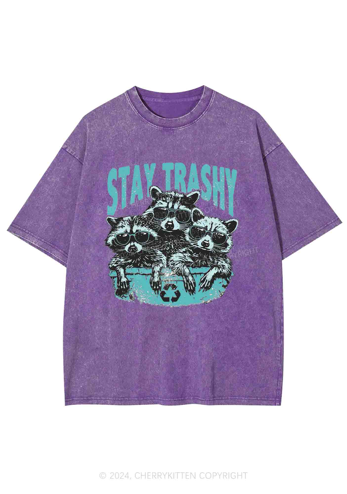 Stay Trashy Raccoons Y2K Washed Tee Cherrykitten - Image 5