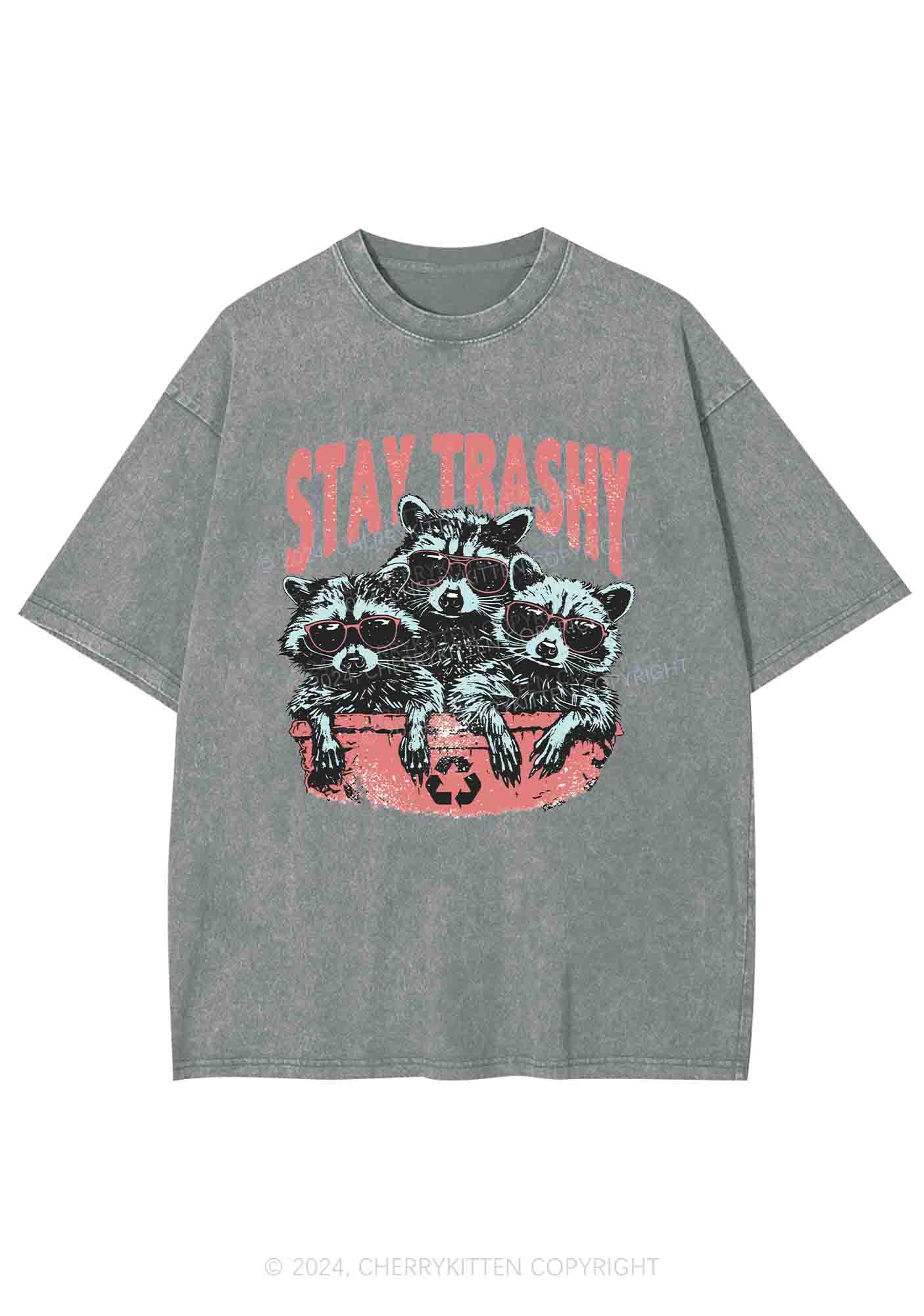 Stay Trashy Raccoons Y2K Washed Tee Cherrykitten - Image 6