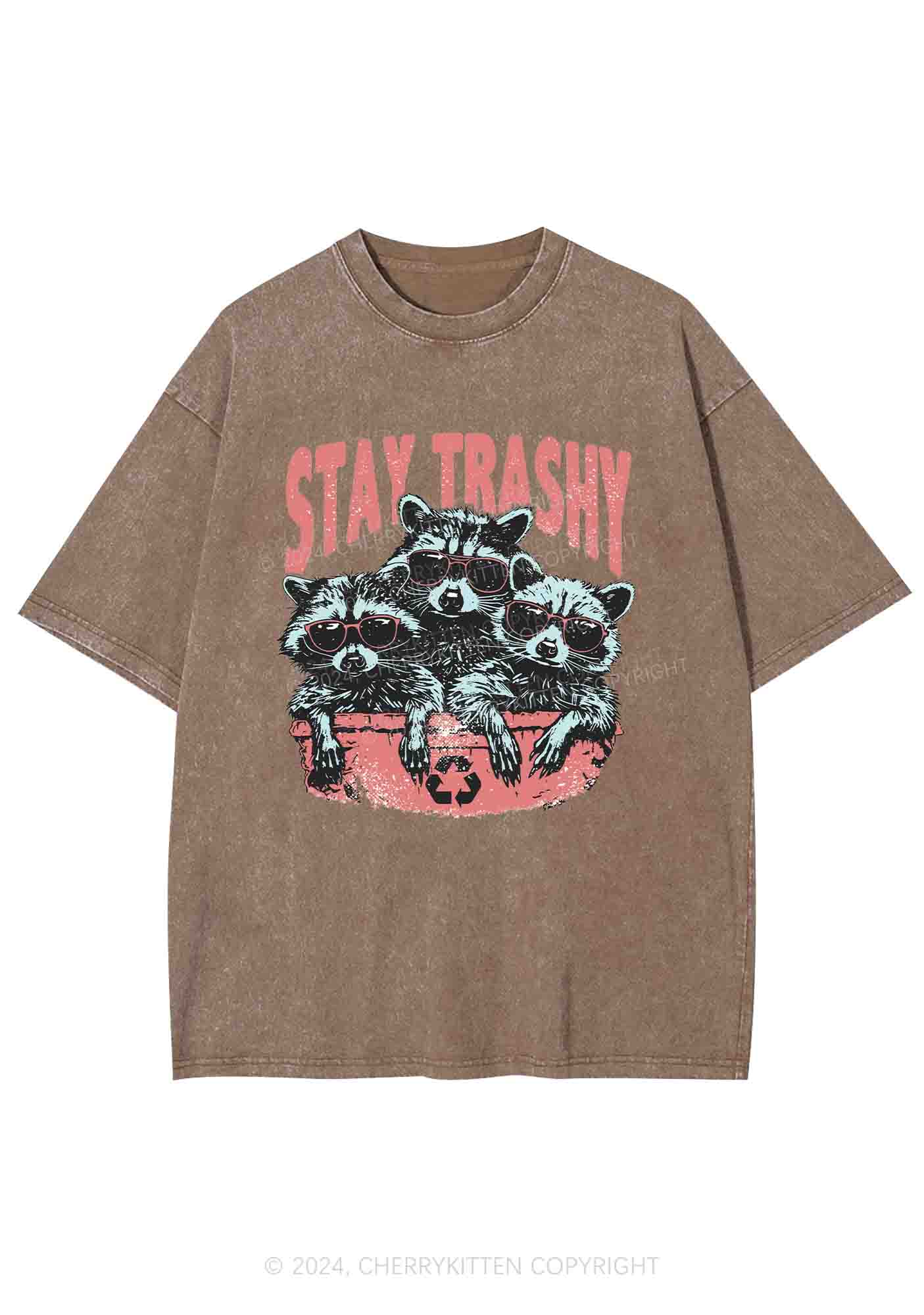 Stay Trashy Raccoons Y2K Washed Tee Cherrykitten - Image 7