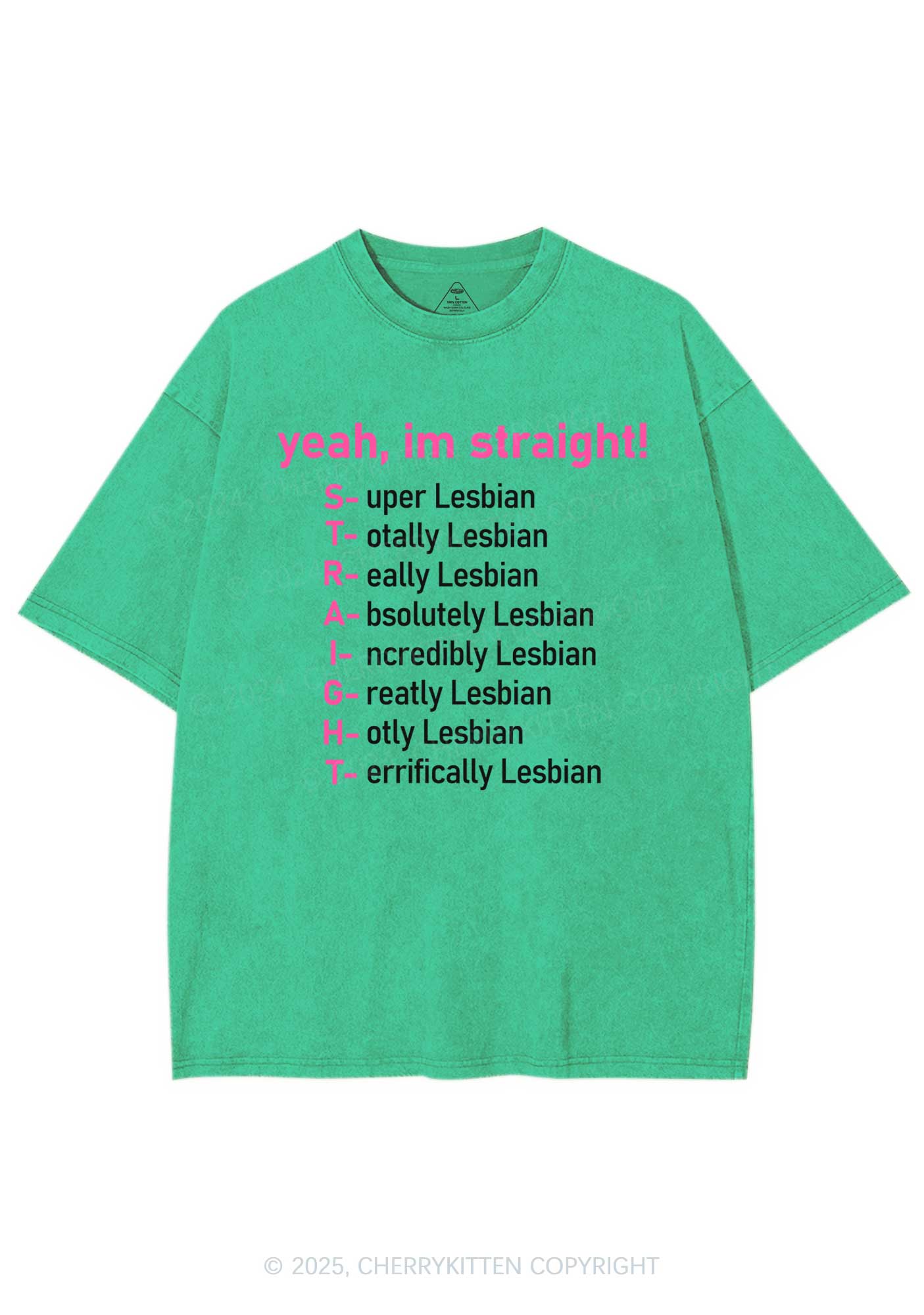 Straight Lesbian Y2K Shirts Washed Tee Cherrykitten - Image 8