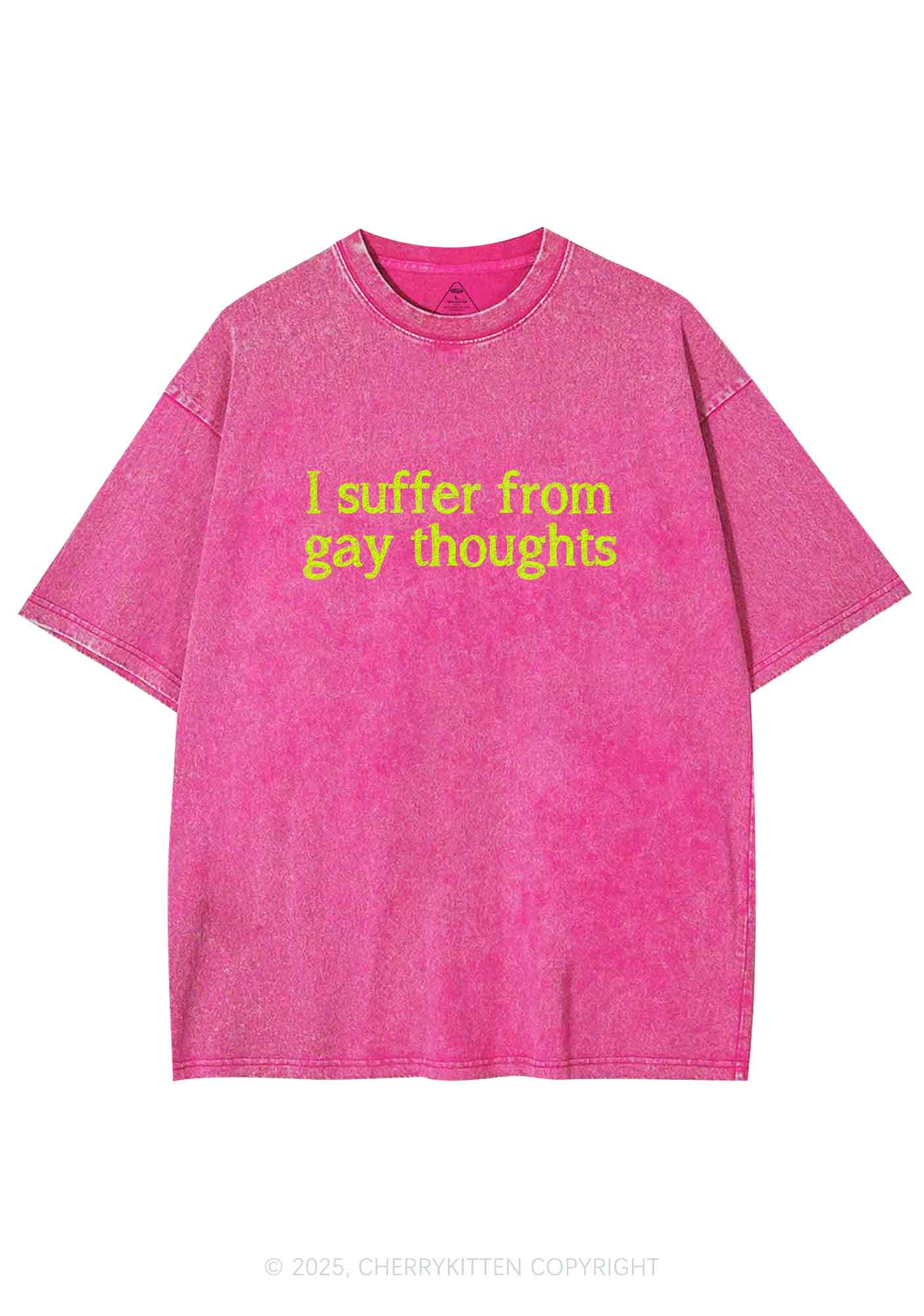 Suffer From Gay Thoughts Y2K Washed Tee Cherrykitten - Image 3