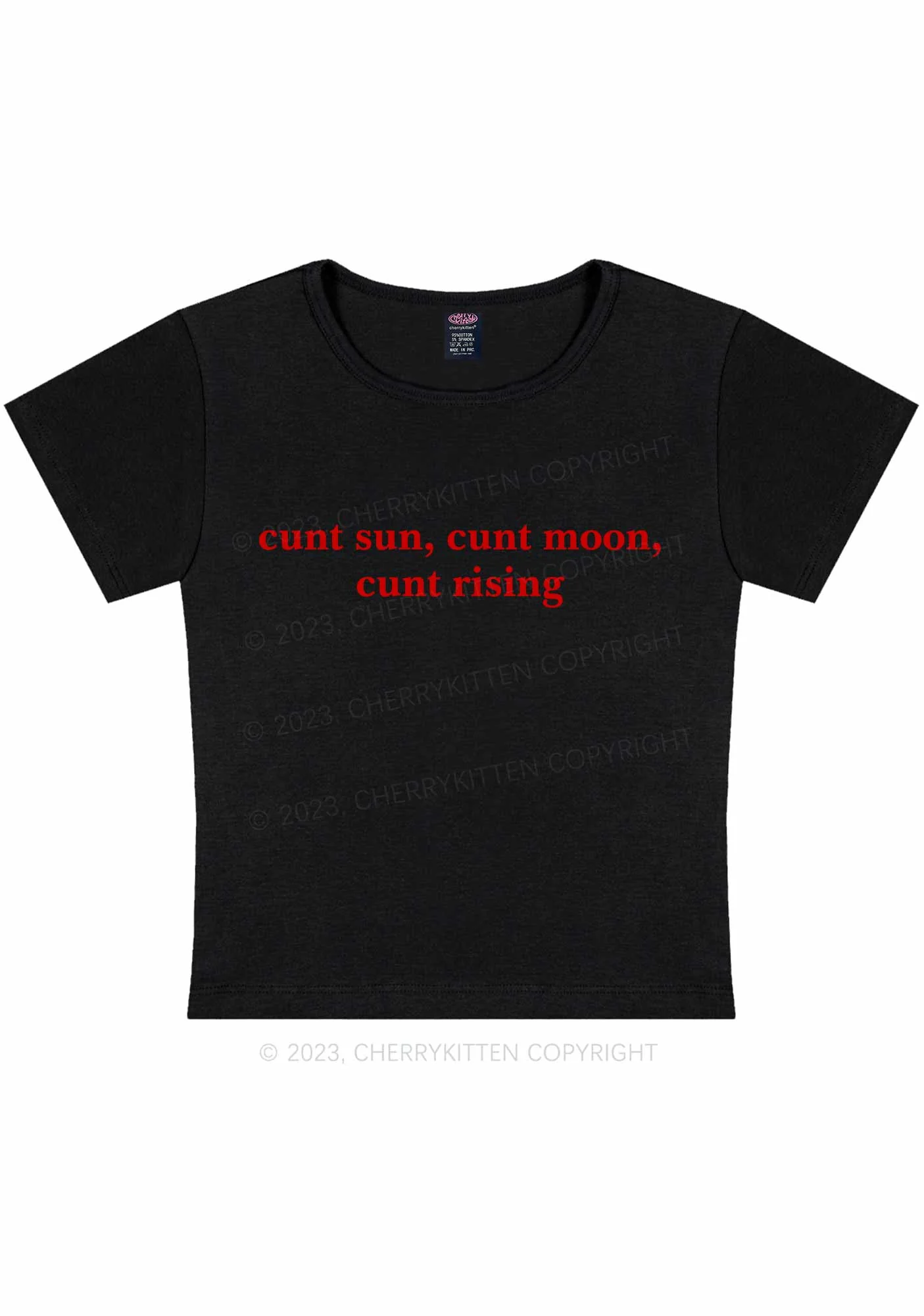 Sun Moon Rising Y2K Baby Tee Cherrykitten - Image 3