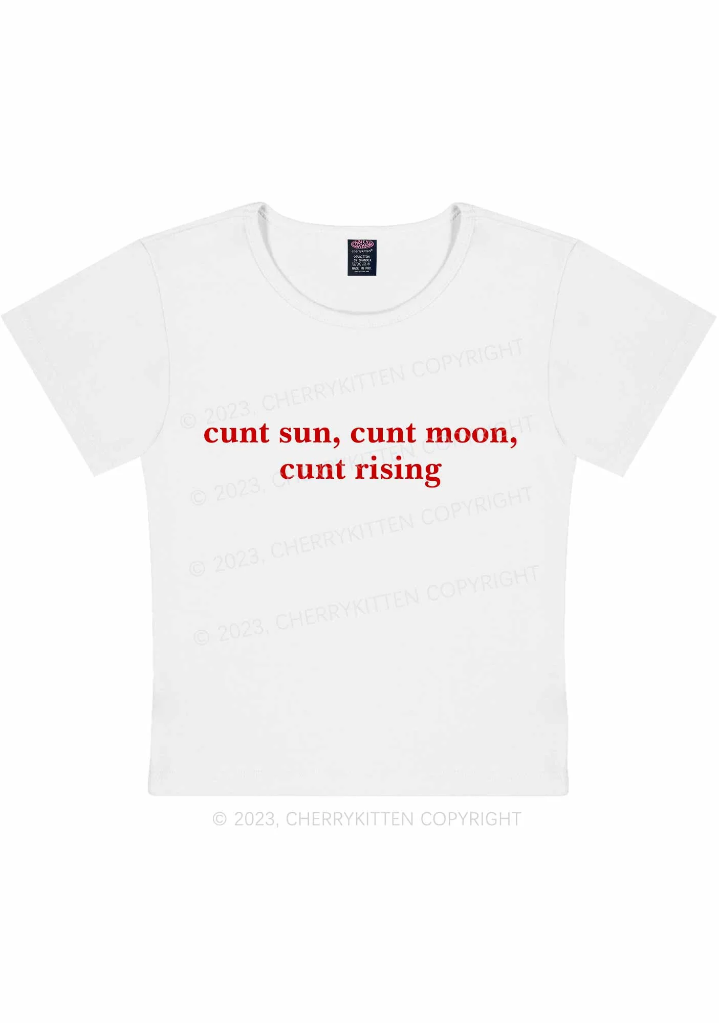 Sun Moon Rising Y2K Baby Tee Cherrykitten - Image 5
