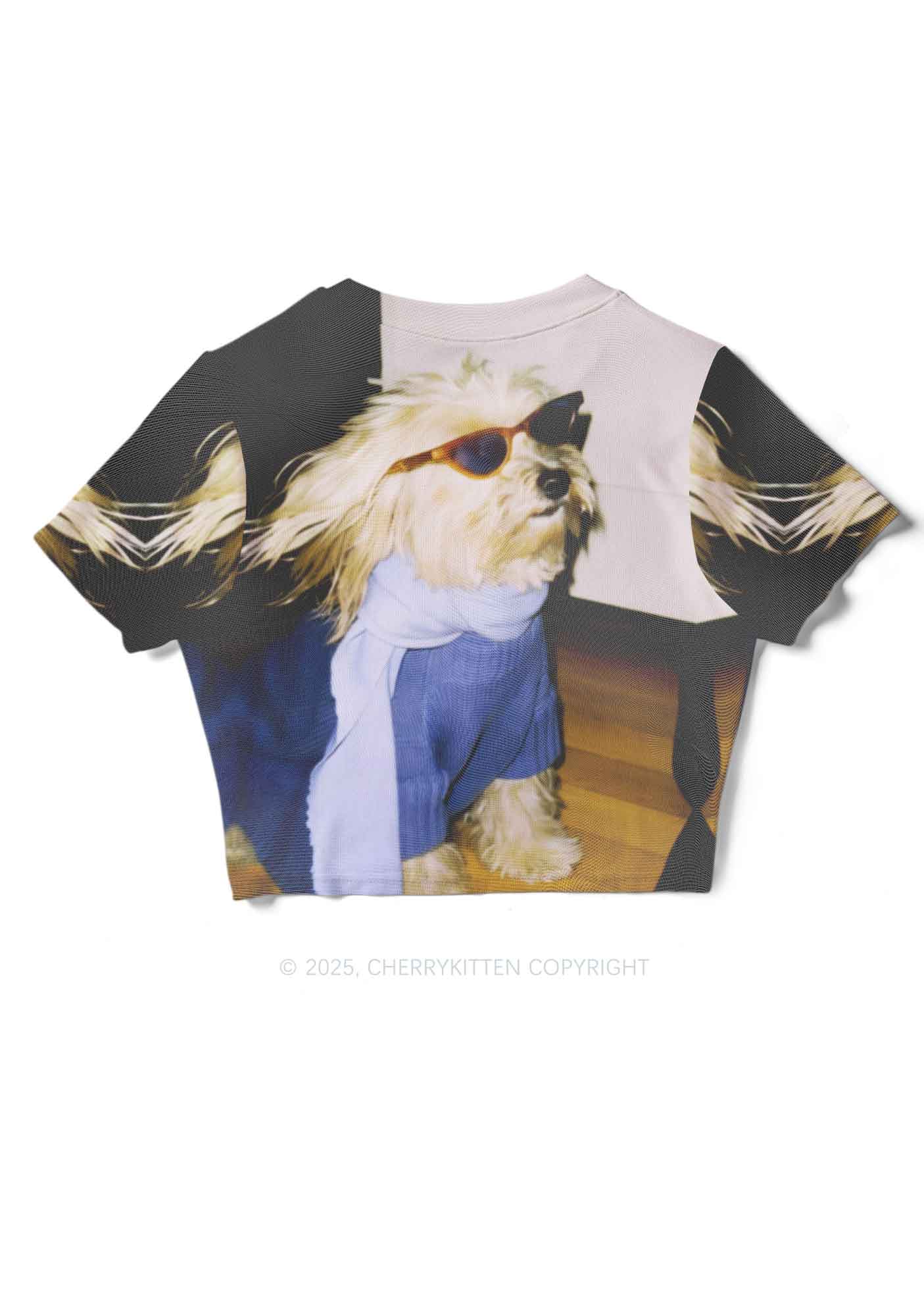Sunglasses Puppy Y2K Mesh Crop Top Cherrykitten - Image 4