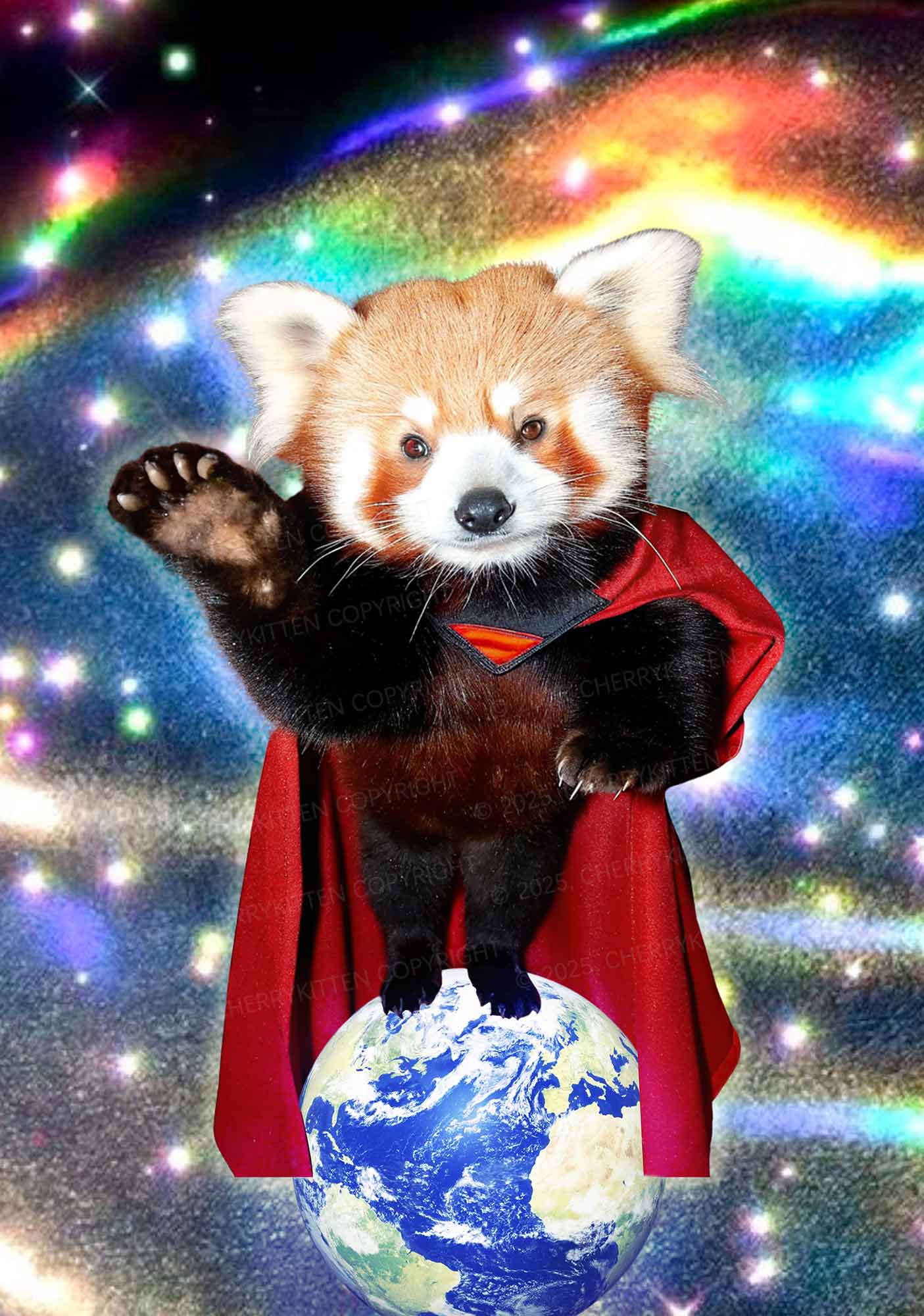 Super Raccoon Y2K Mesh Crop Top Cherrykitten - Image 2