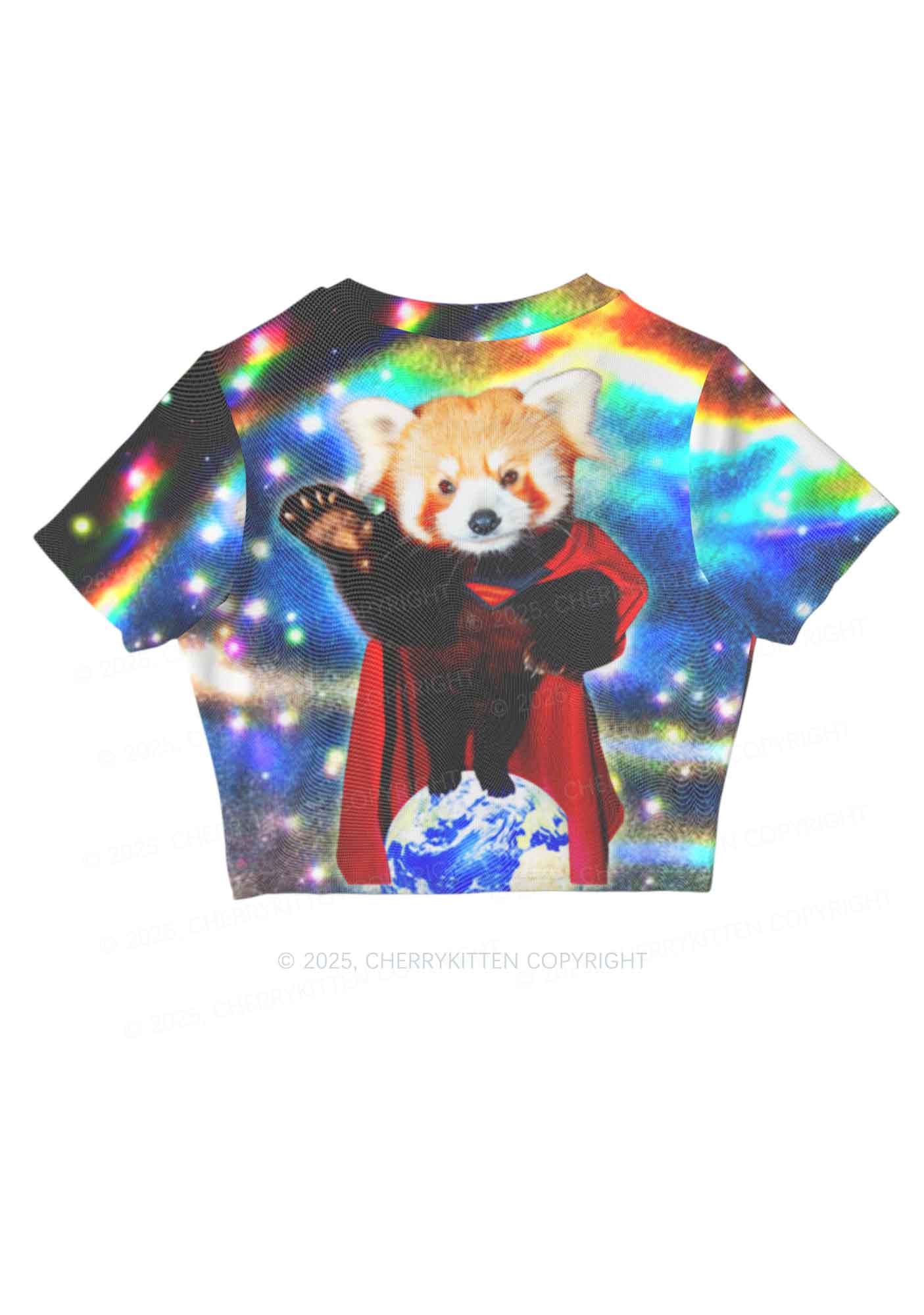 Super Raccoon Y2K Mesh Crop Top Cherrykitten - Image 3