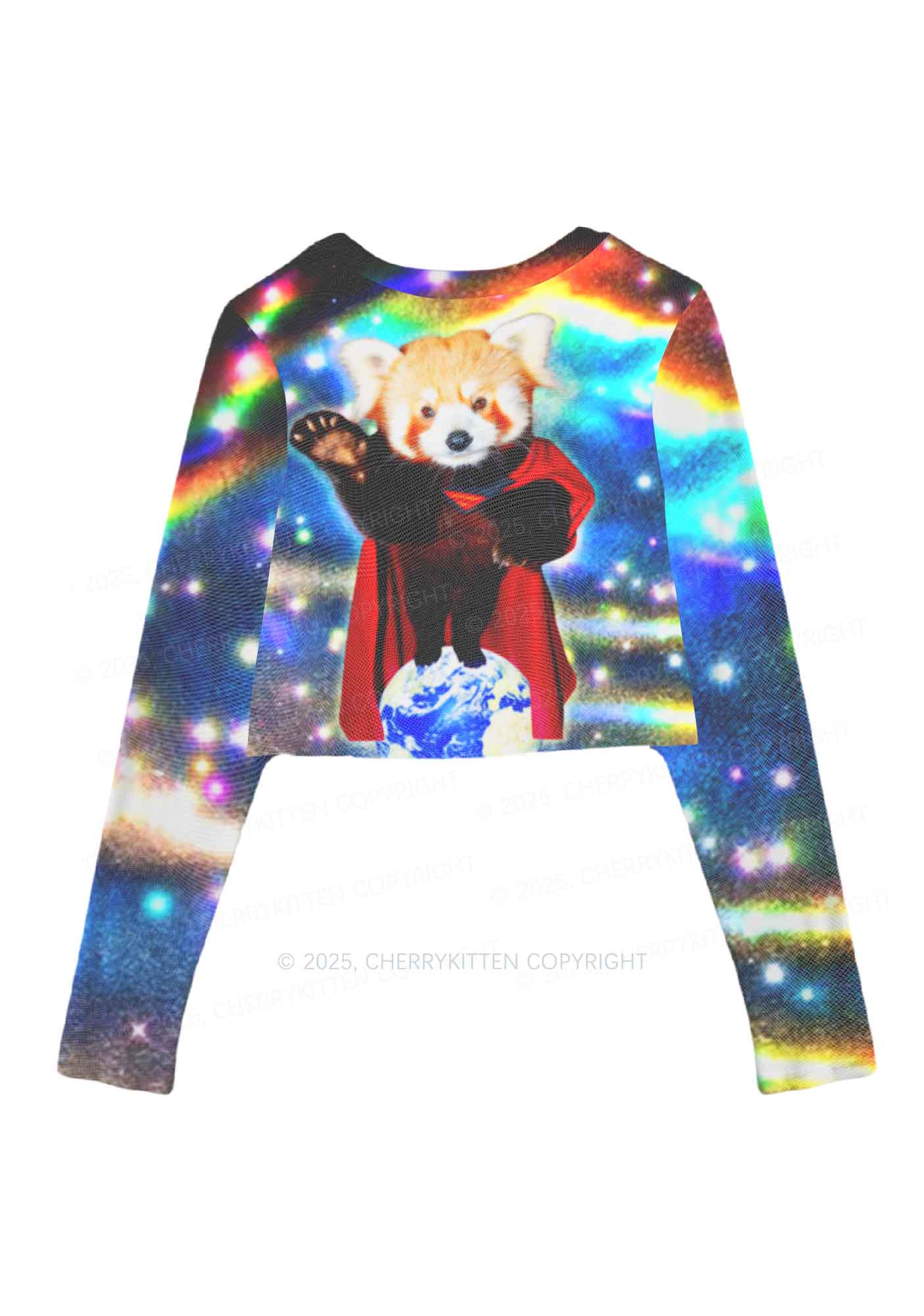 Super Raccoon Y2K Mesh Long Sleeve Crop Top Cherrykitten - Image 3