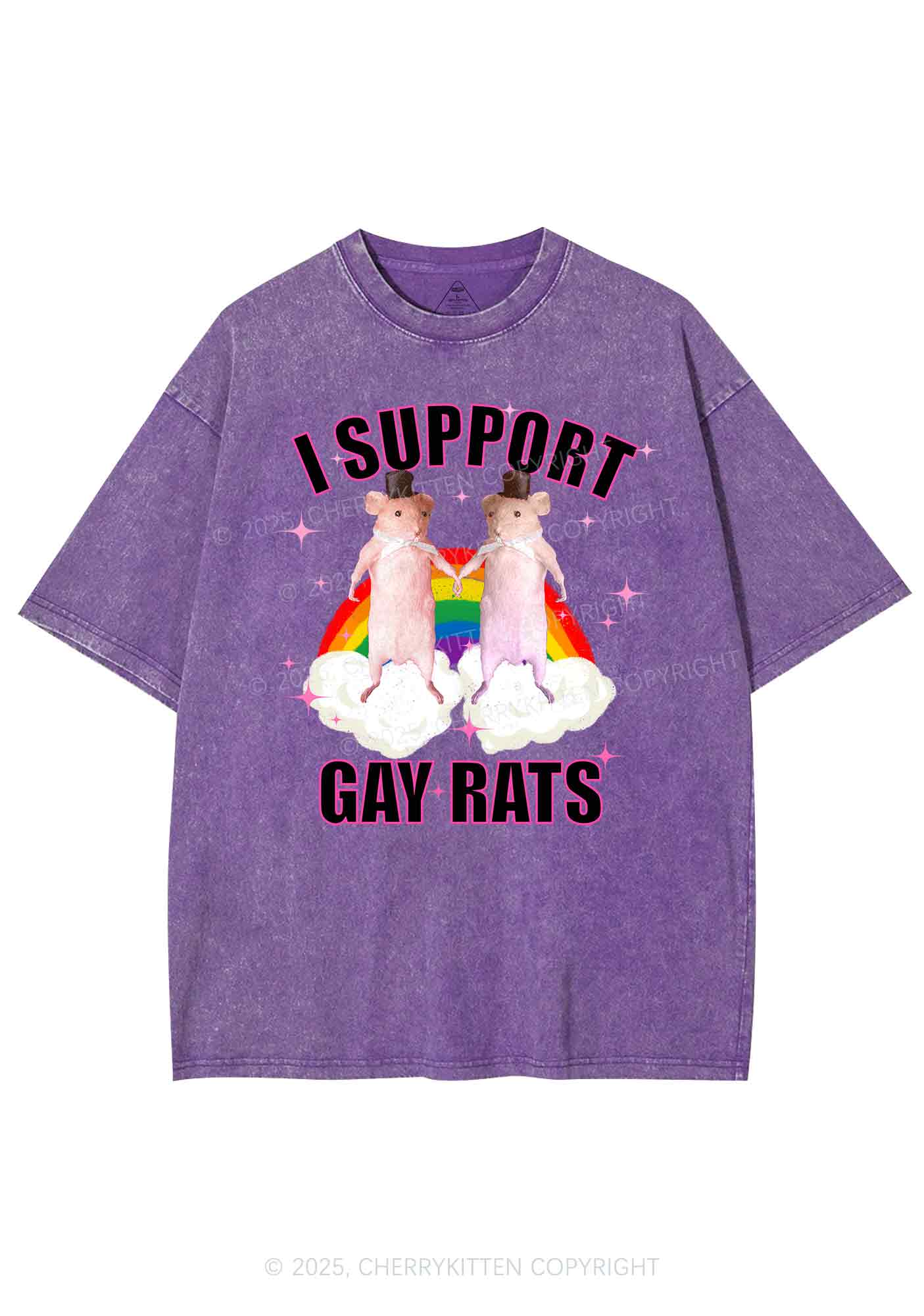 Support Gay Rats Pride Y2K Shirts Washed Tee Cherrykitten - Image 4