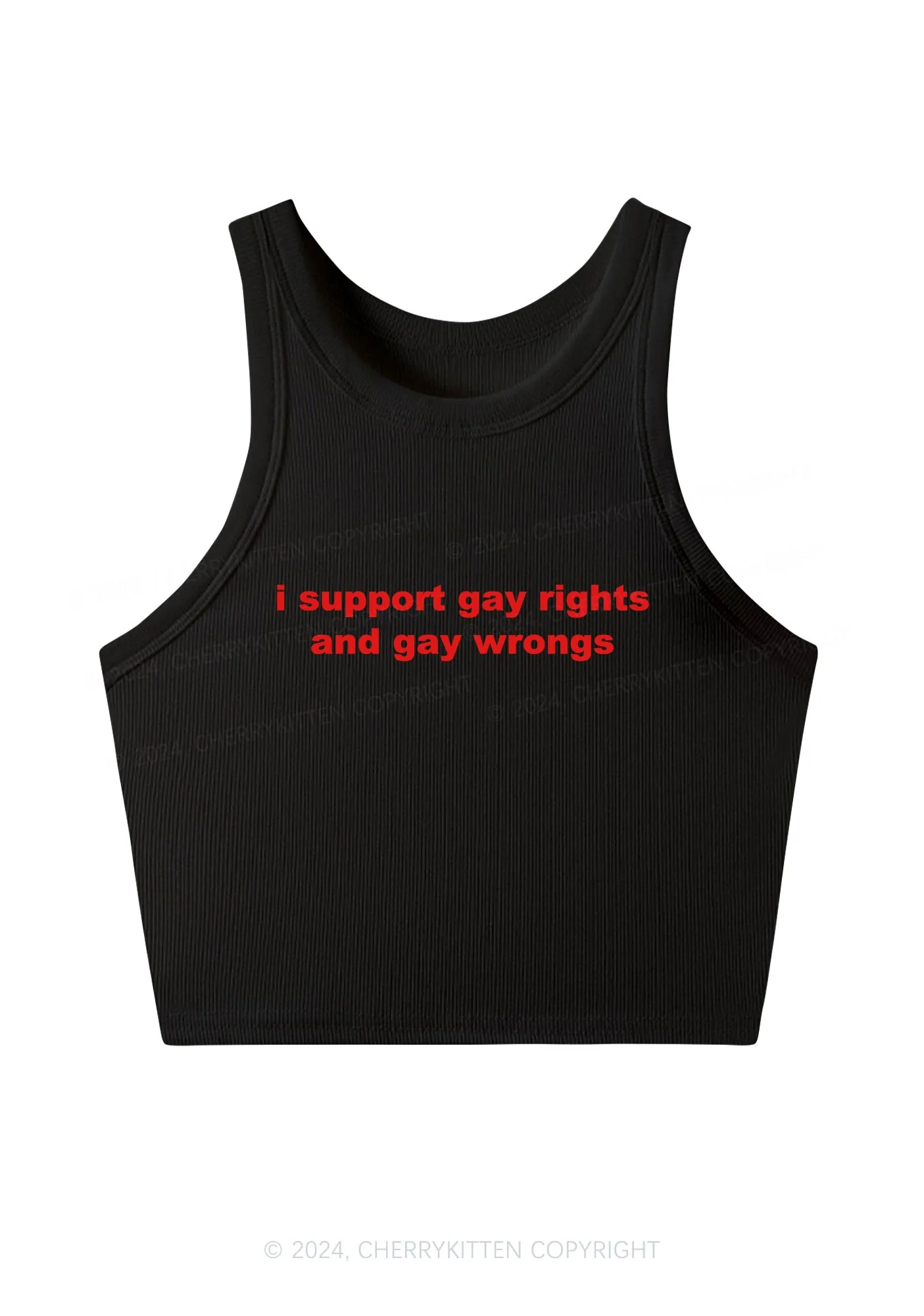Support Gay Rights Y2K Crop Tank Top Cherrykitten - Image 3