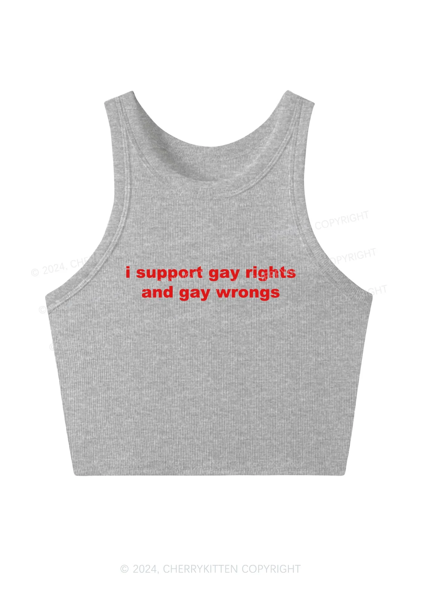 Support Gay Rights Y2K Crop Tank Top Cherrykitten - Image 4