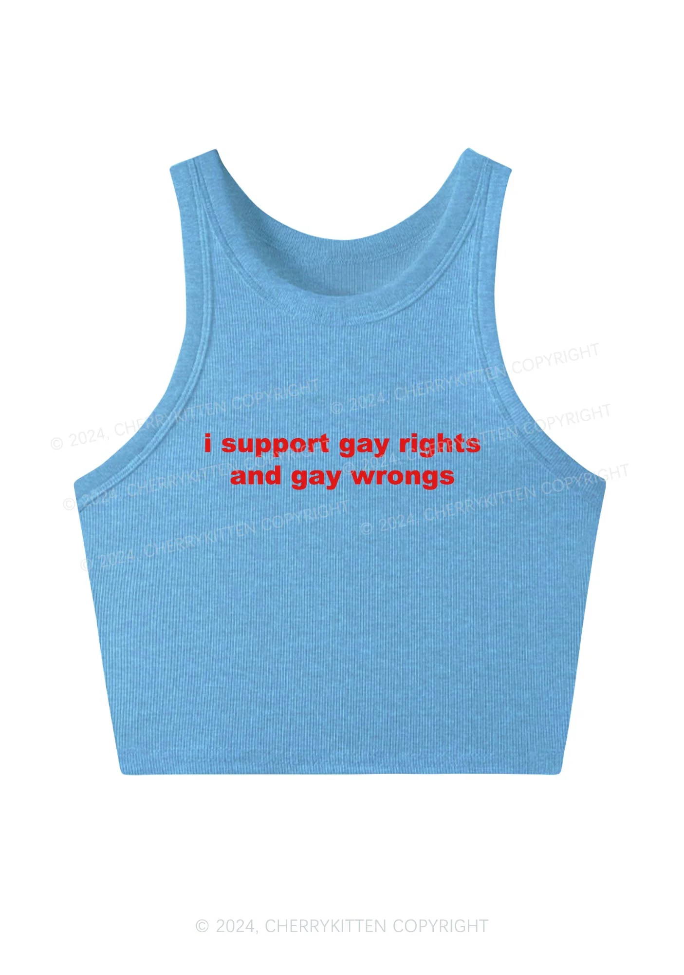 Support Gay Rights Y2K Crop Tank Top Cherrykitten - Image 5