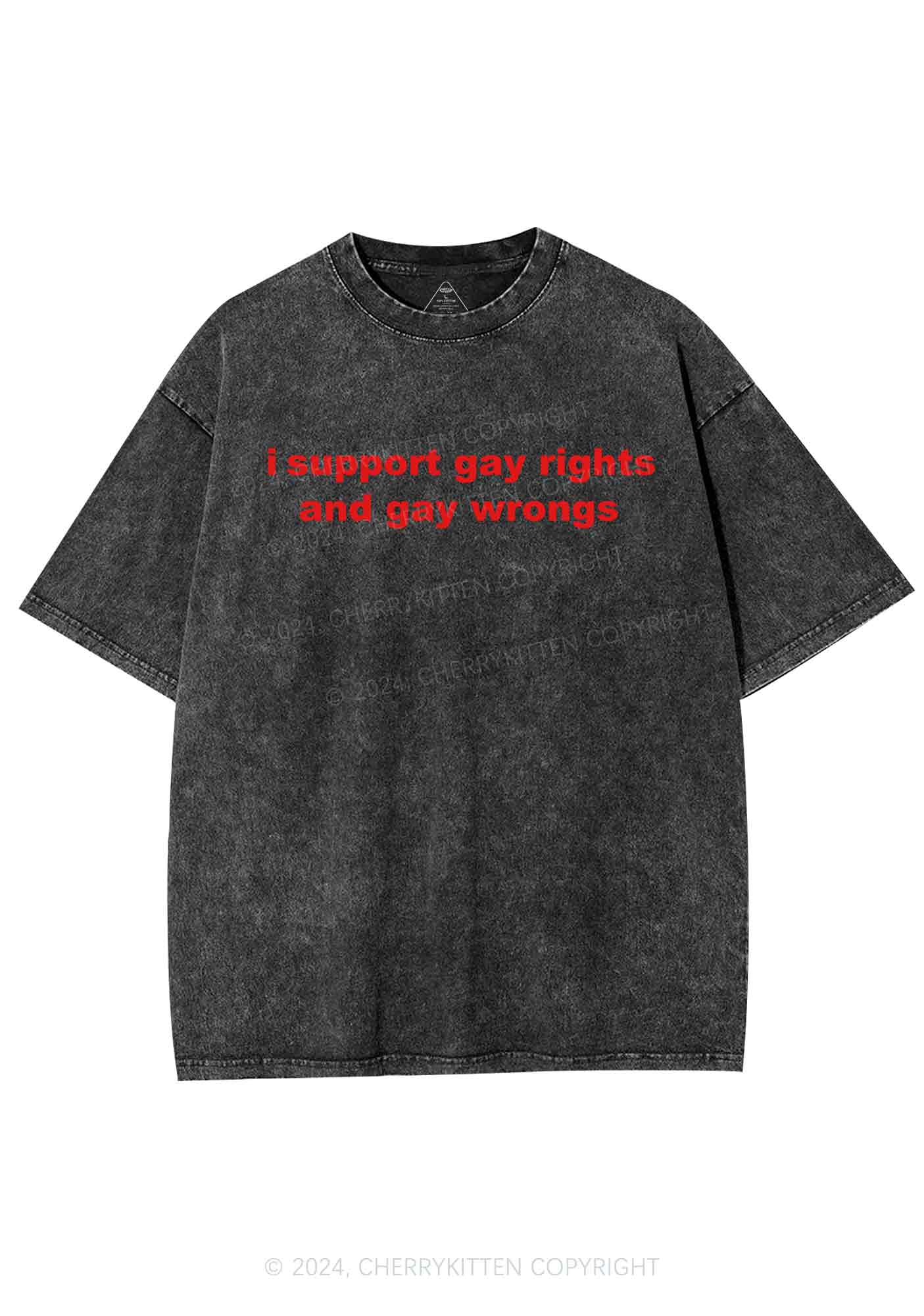 Support Gay Rights Y2K Washed Tee Cherrykitten - Image 3