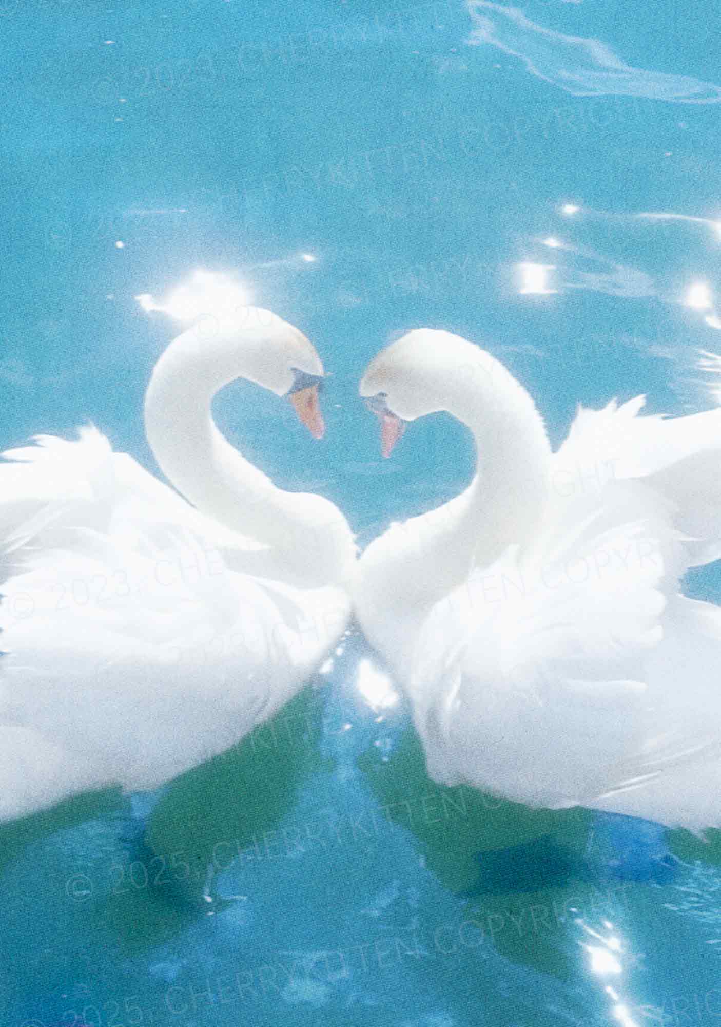 Swan Lovers Y2K Mesh Cami Tank Cherrykitten - Image 2