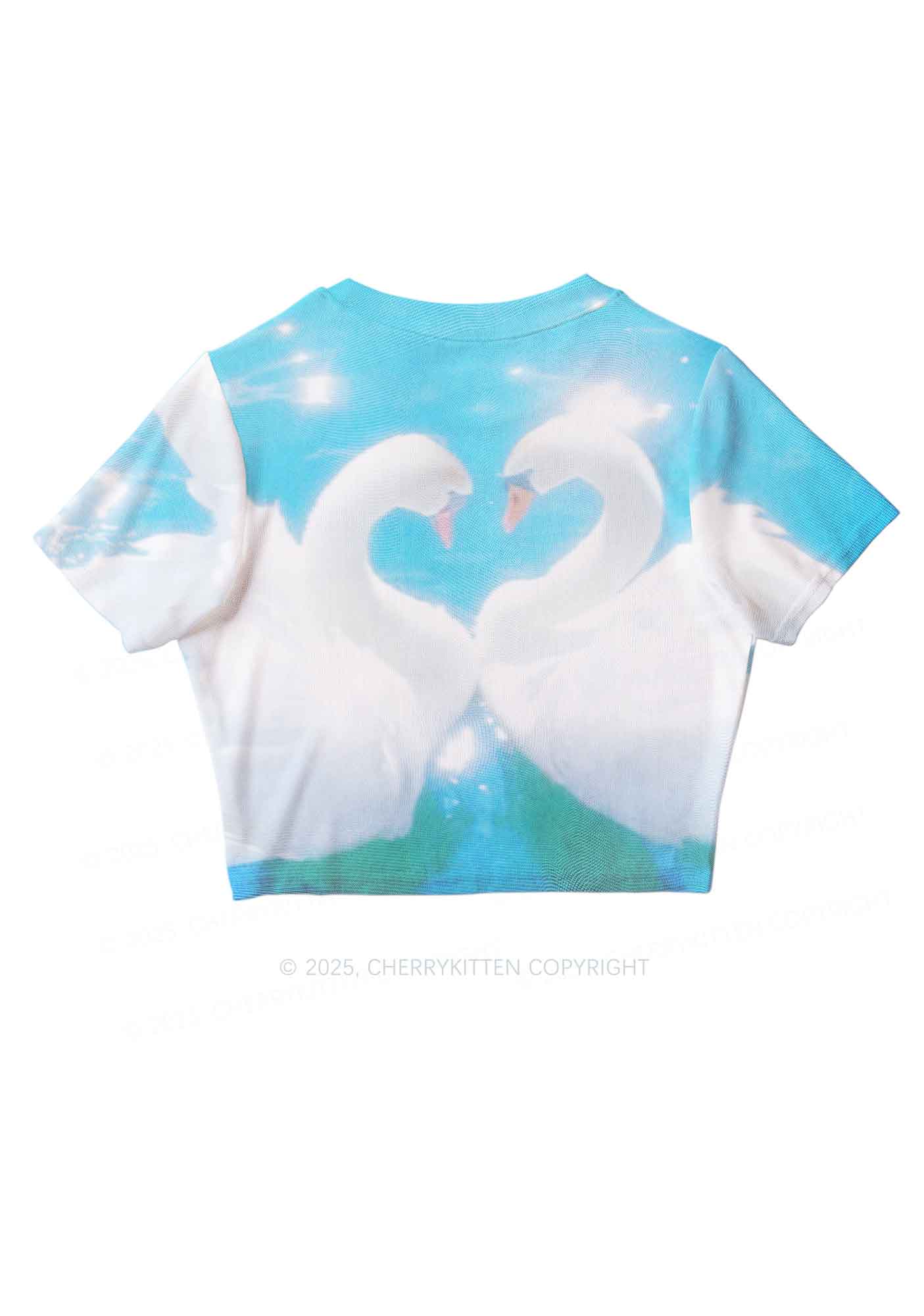 Swan Lovers Y2K Mesh Crop Top Cherrykitten - Image 3