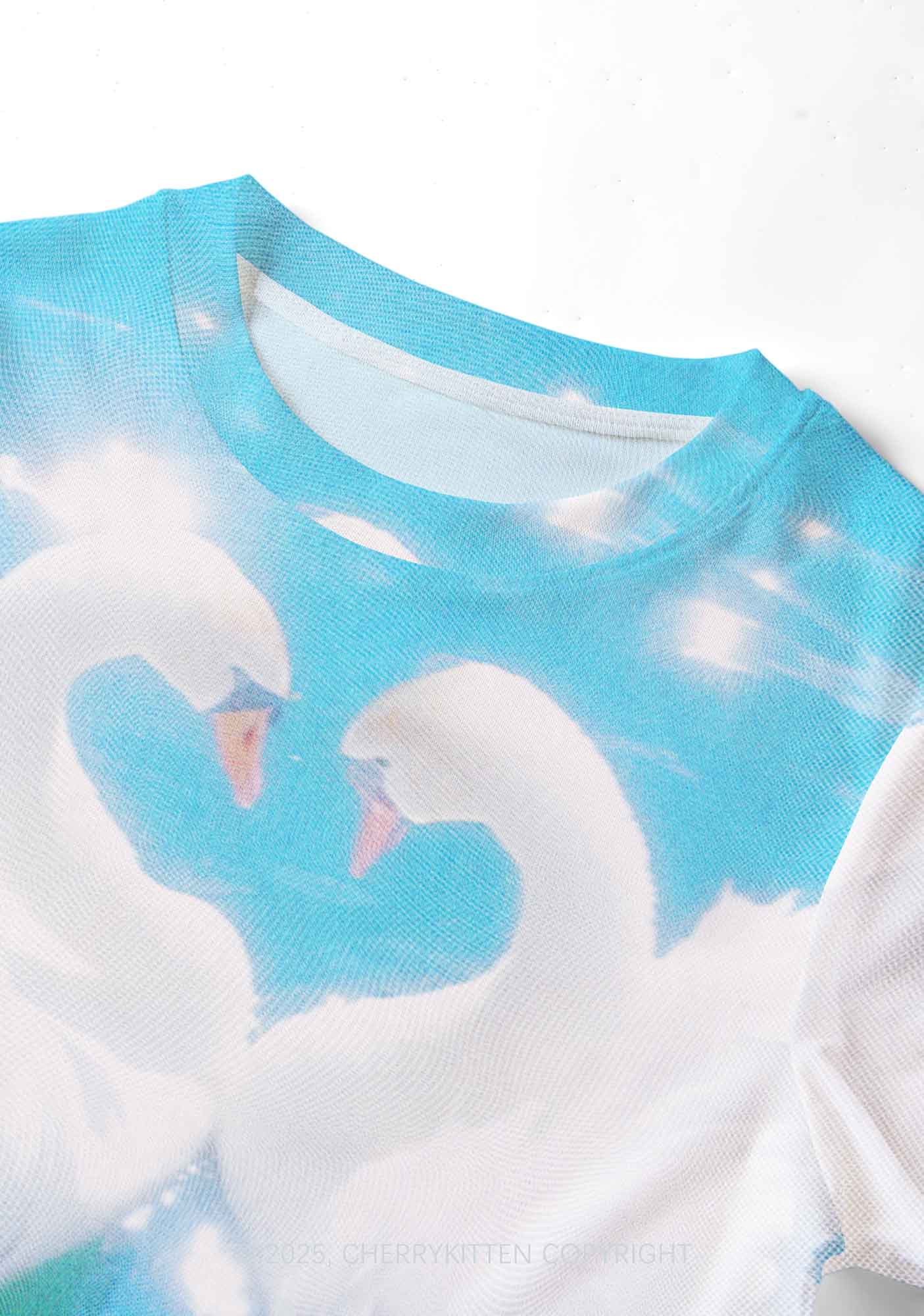 Swan Lovers Y2K Mesh Crop Top Cherrykitten - Image 5