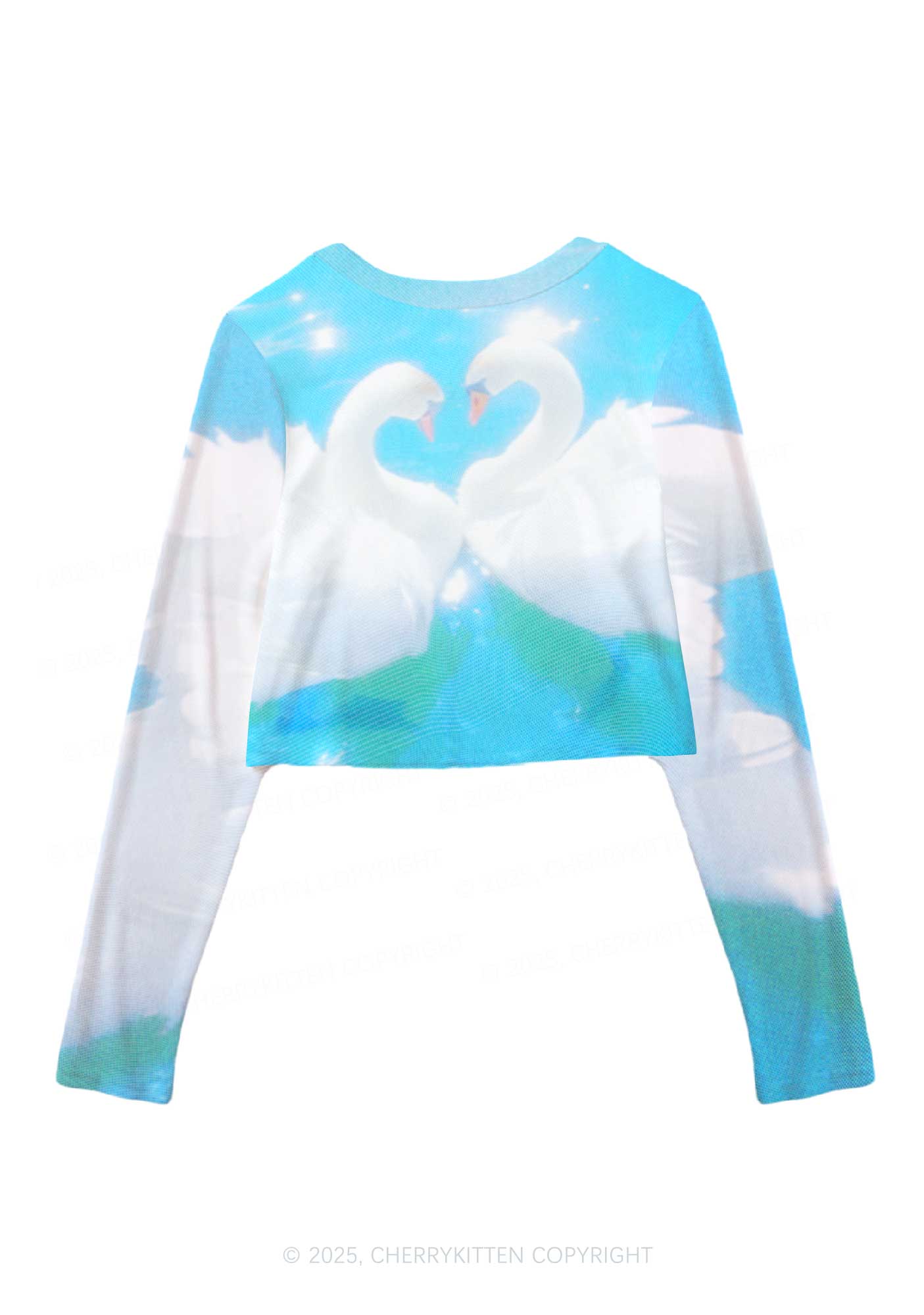 Swan Lovers Y2K Mesh Long Sleeve Crop Top Cherrykitten - Image 3