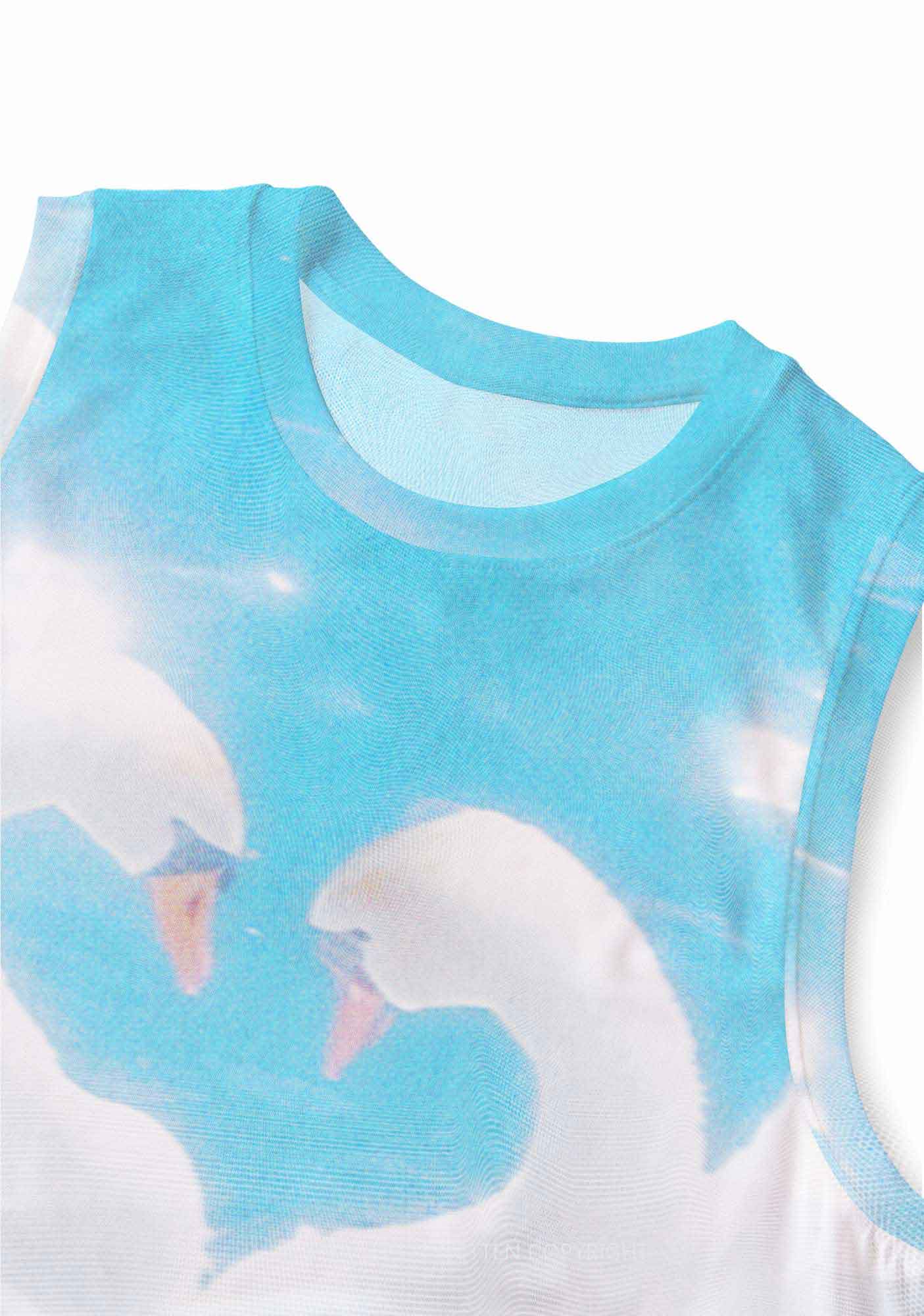 Swan Lovers Y2K Mesh Muscle Tank Cherrykitten - Image 4