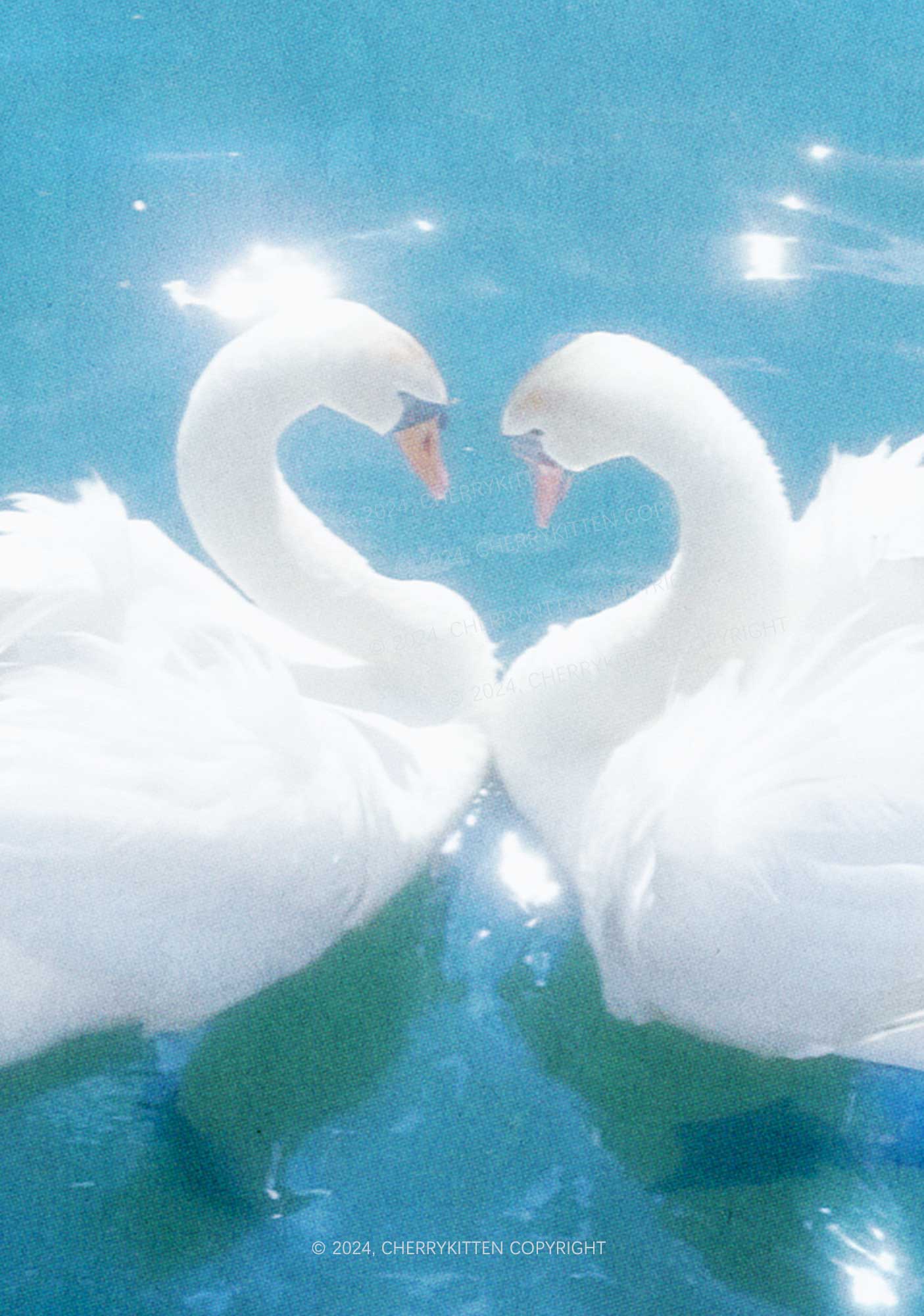 Swan Lovers Y2K Phone Case Cherrykitten - Image 2